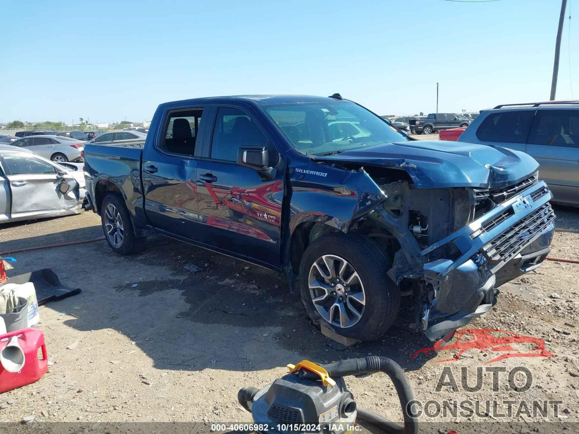 CHEVROLET SILVERADO 1500 2020 - 3GCPWDED9LG275303