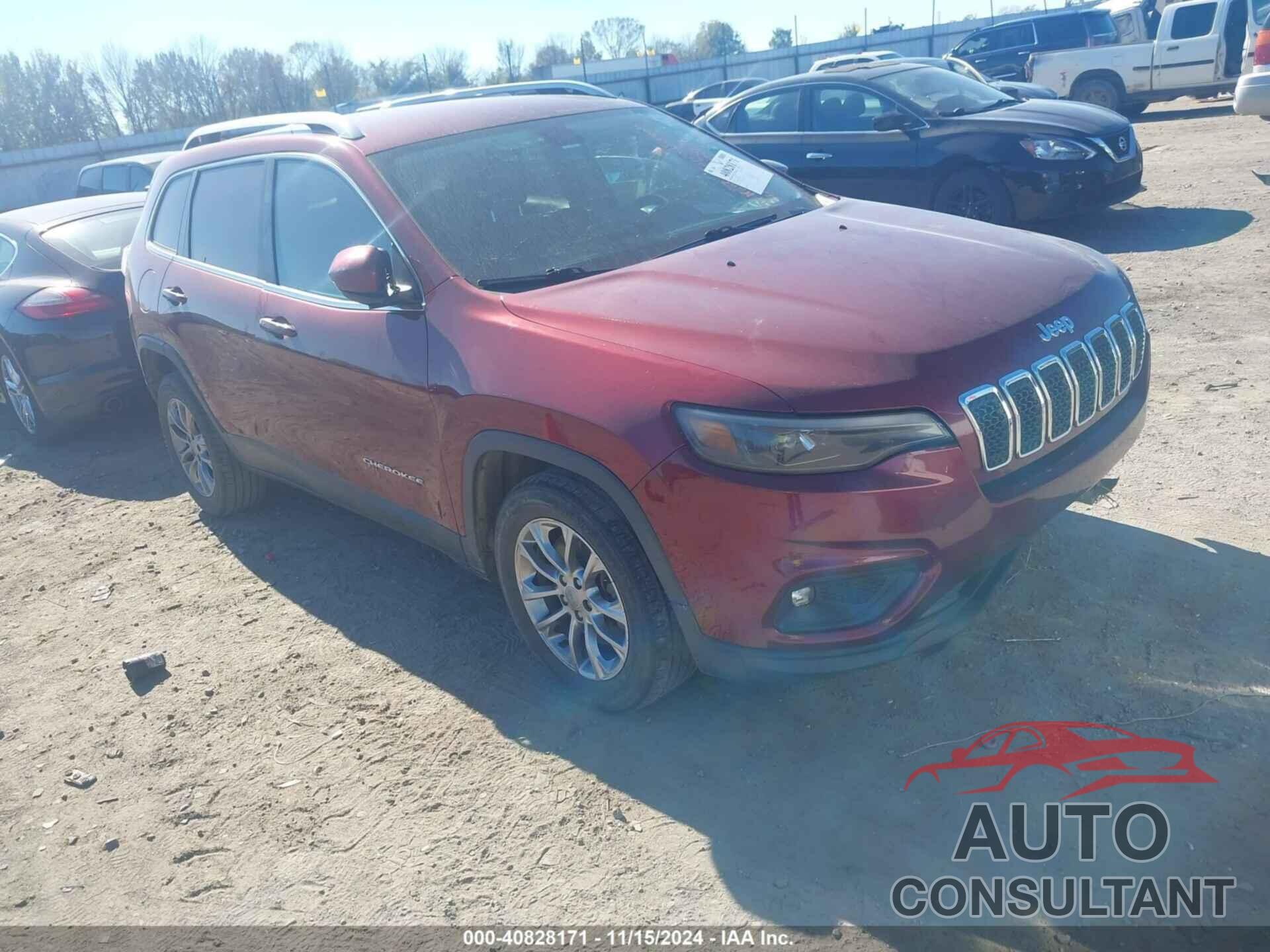 JEEP CHEROKEE 2019 - 1C4PJLLB4KD204337