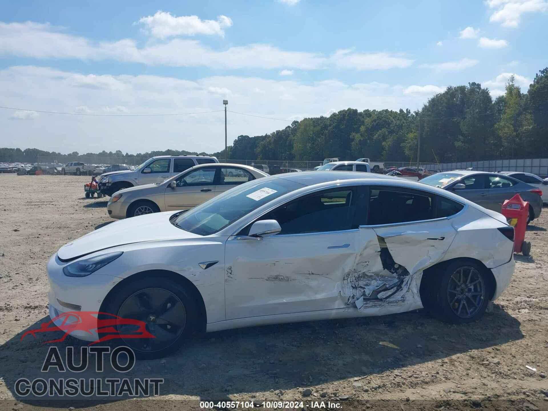 TESLA MODEL 3 2019 - 5YJ3E1EB6KF433356