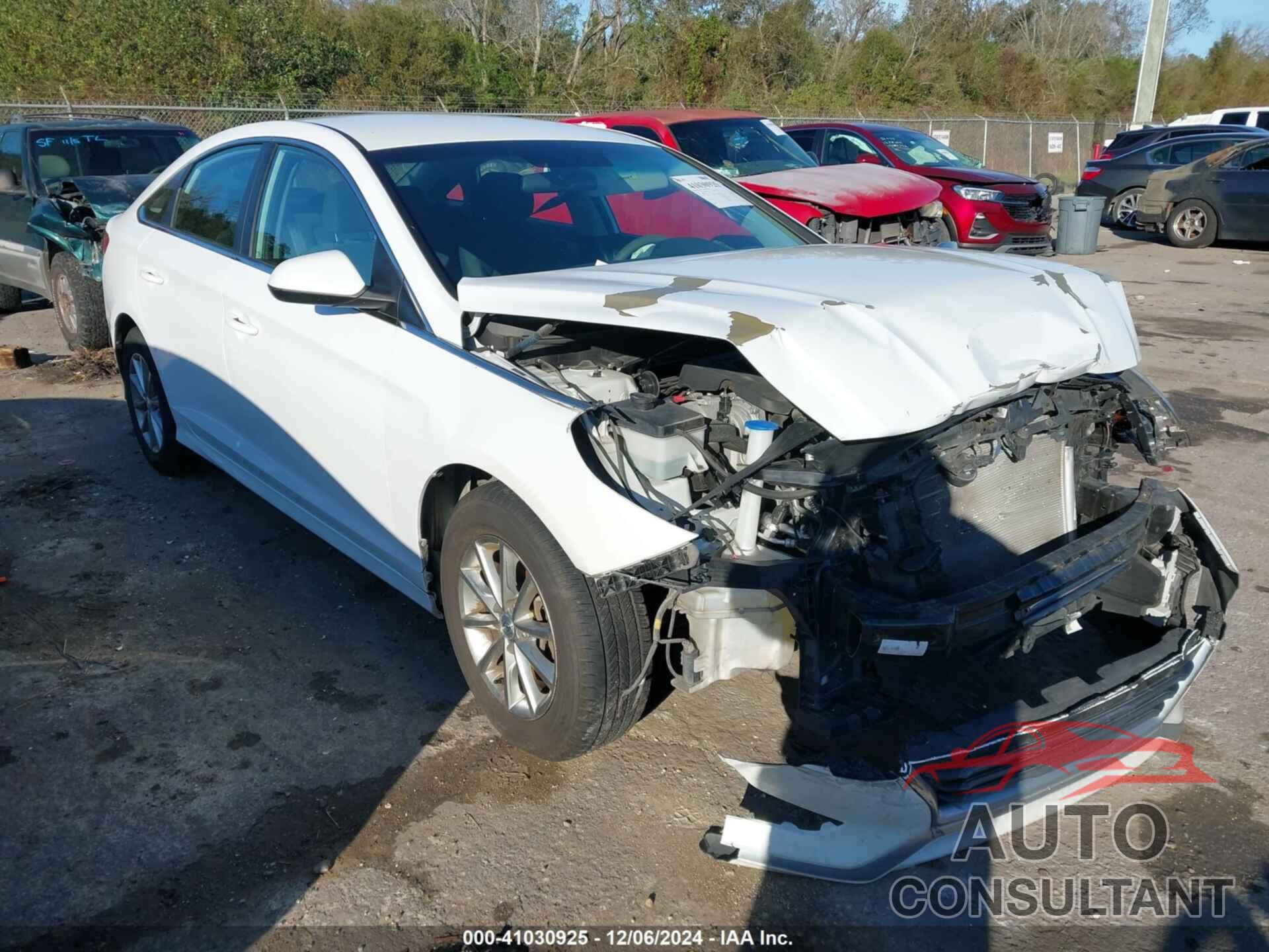 HYUNDAI SONATA 2019 - 5NPE24AFXKH742602