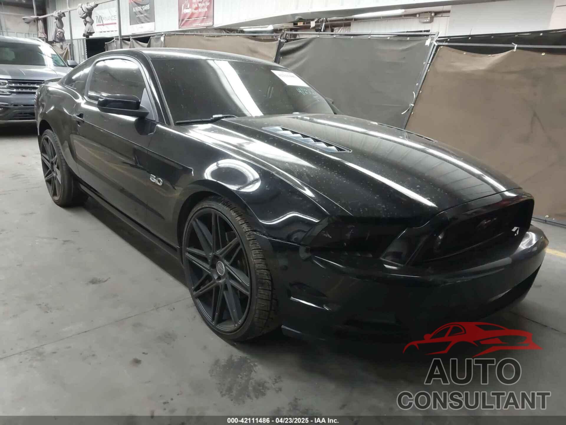 FORD MUSTANG 2013 - 1ZVBP8CF8D5262597