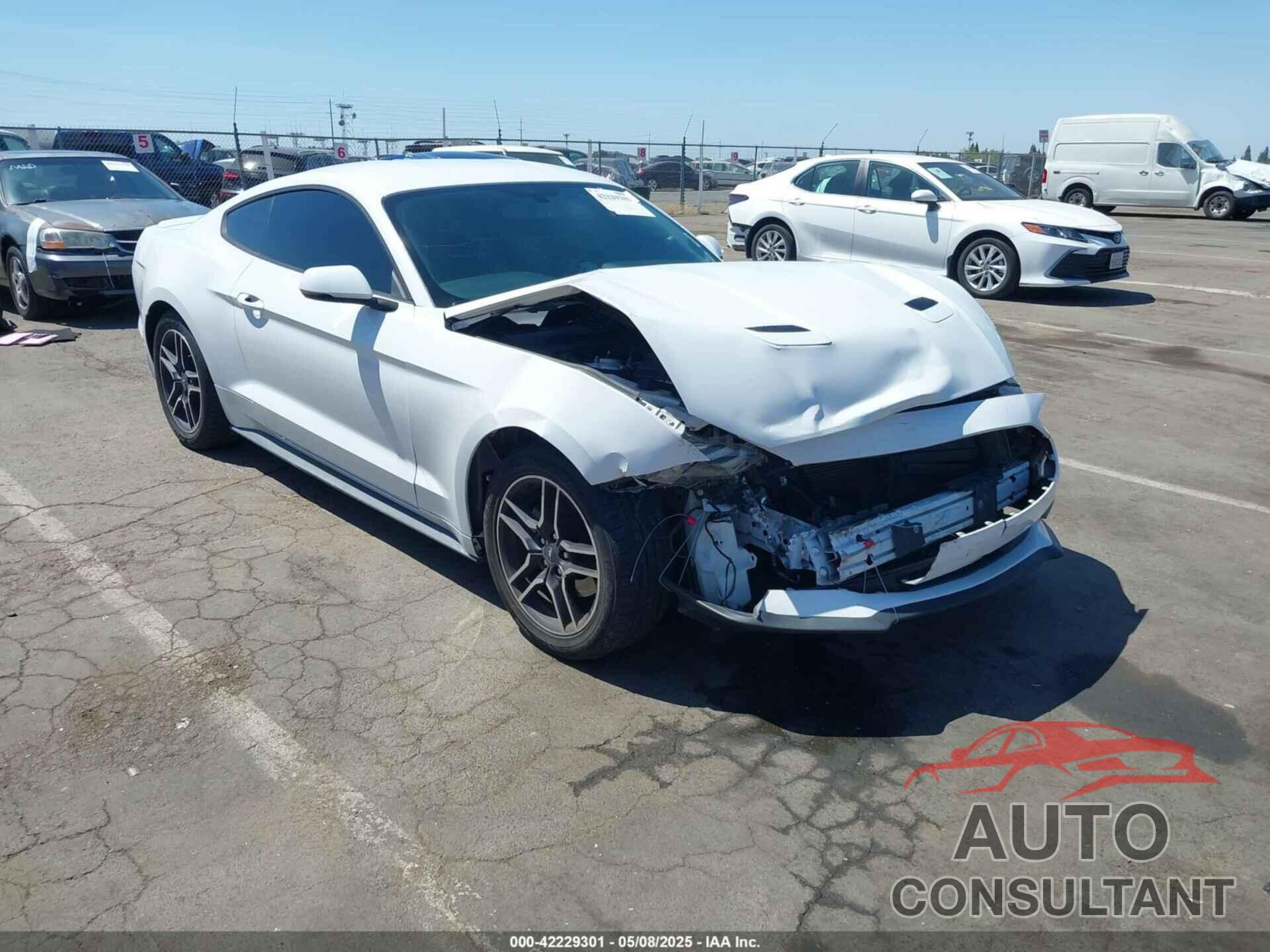 FORD MUSTANG 2020 - 1FA6P8TH5L5120430