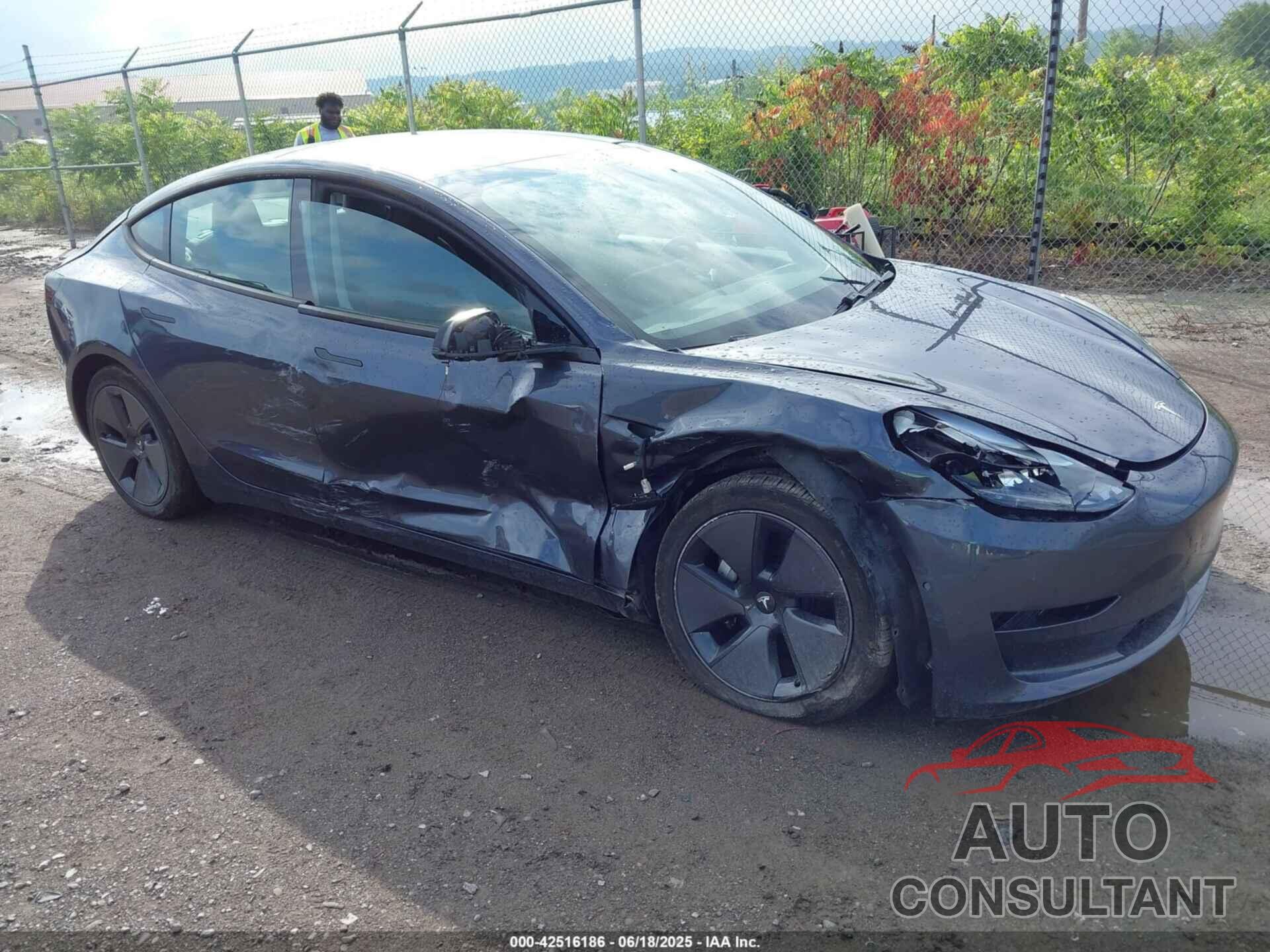 TESLA MODEL 3 2021 - 5YJ3E1EB1MF983986