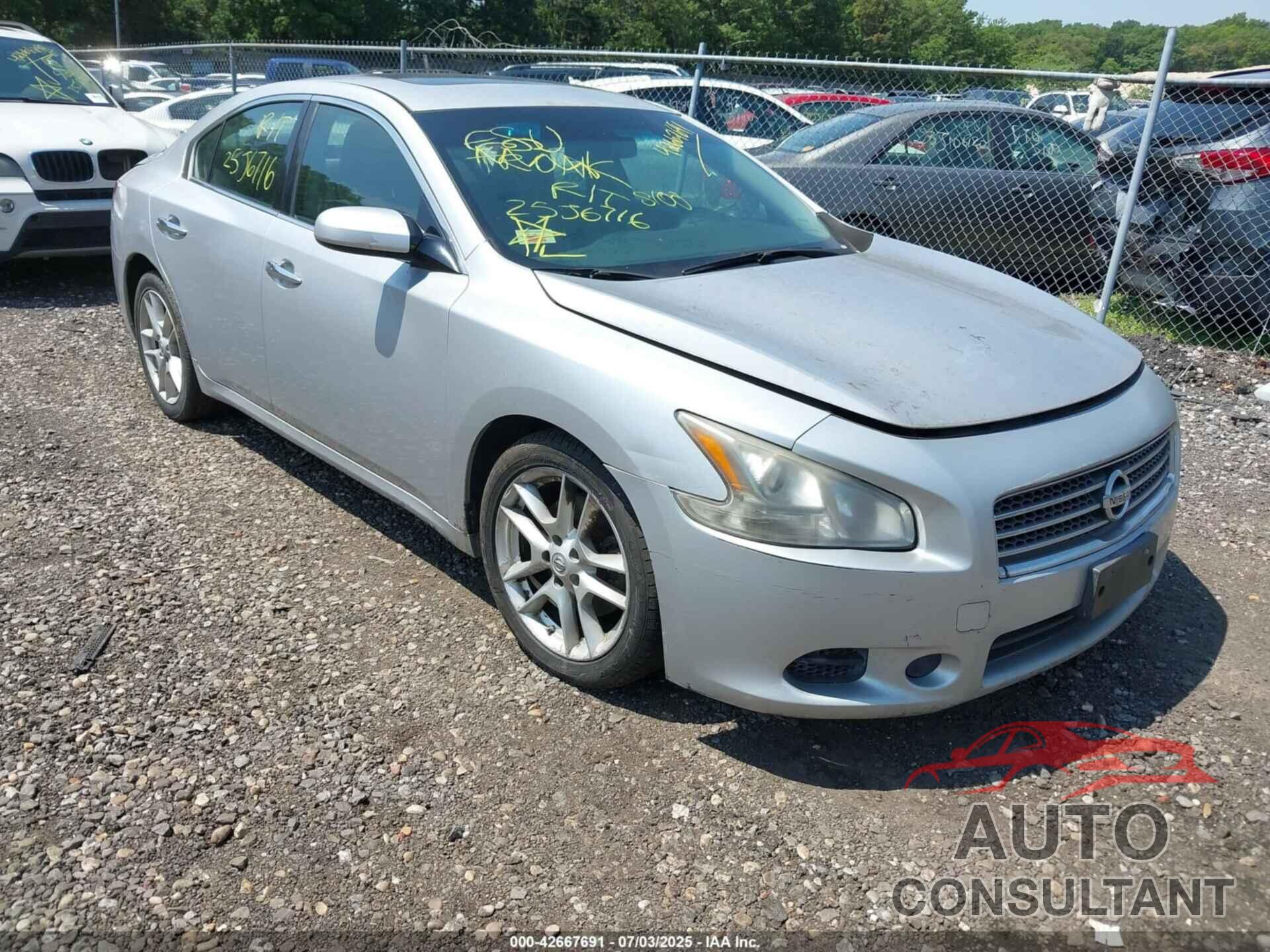 NISSAN MAXIMA 2010 - 1N4AA5AP0AC808770