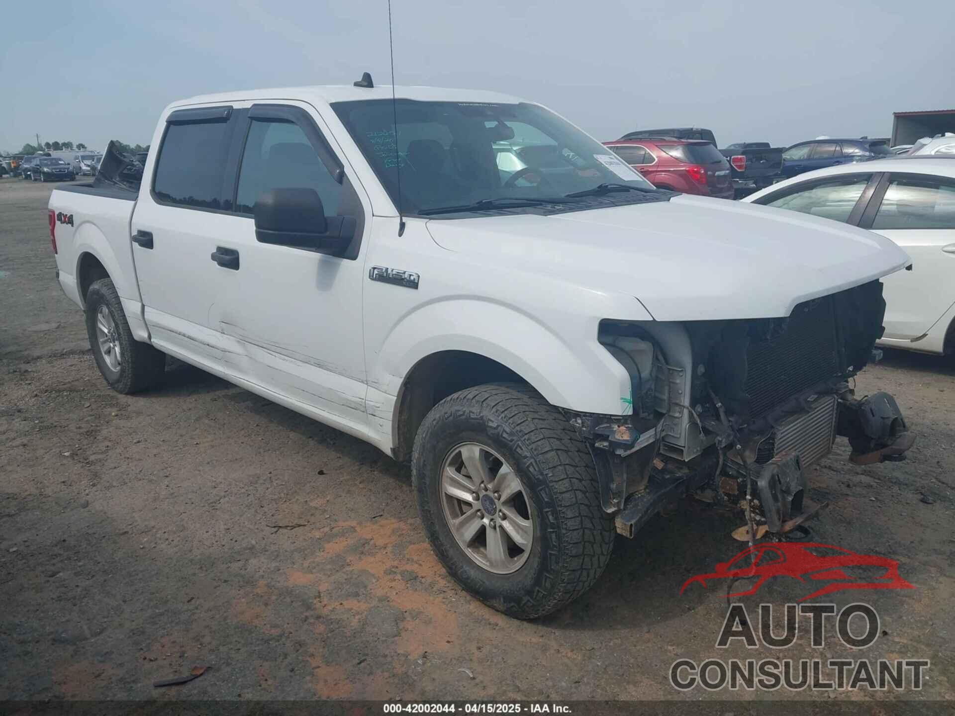 FORD F-150 2019 - 1FTEW1EP5KFA76149
