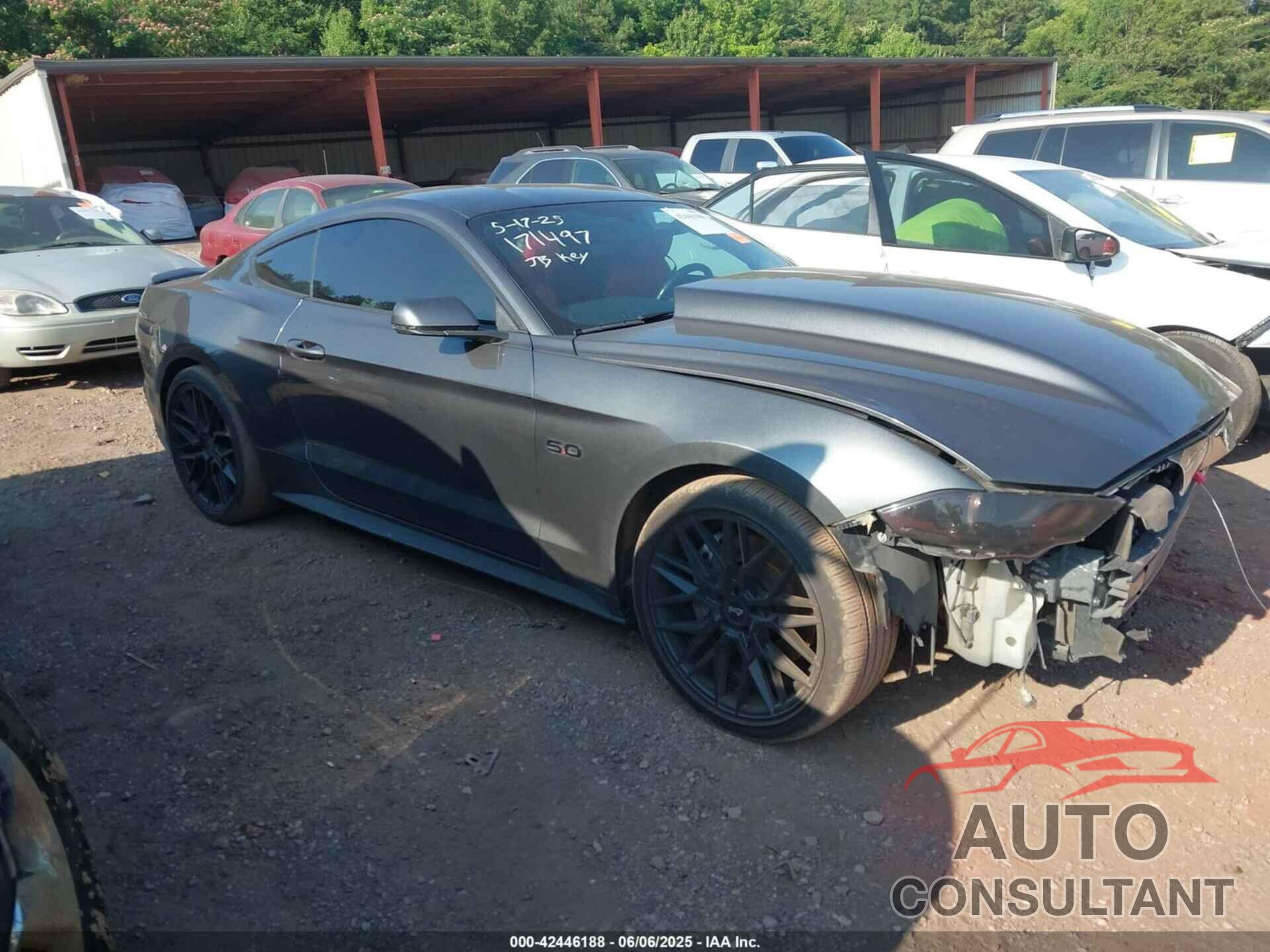 FORD MUSTANG 2019 - 1FA6P8CFXK5134045