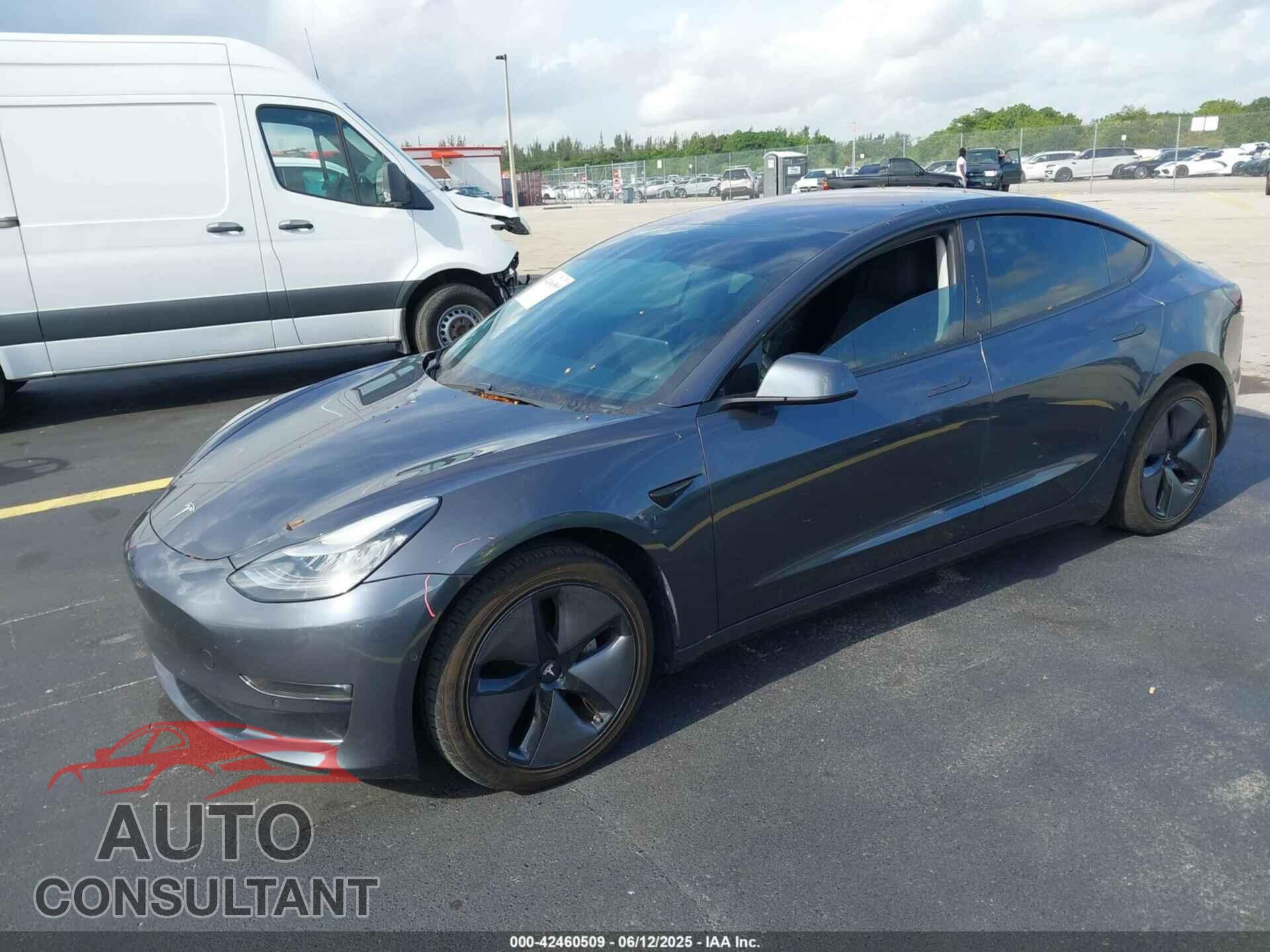 TESLA MODEL 3 2019 - 5YJ3E1EA7KF298301