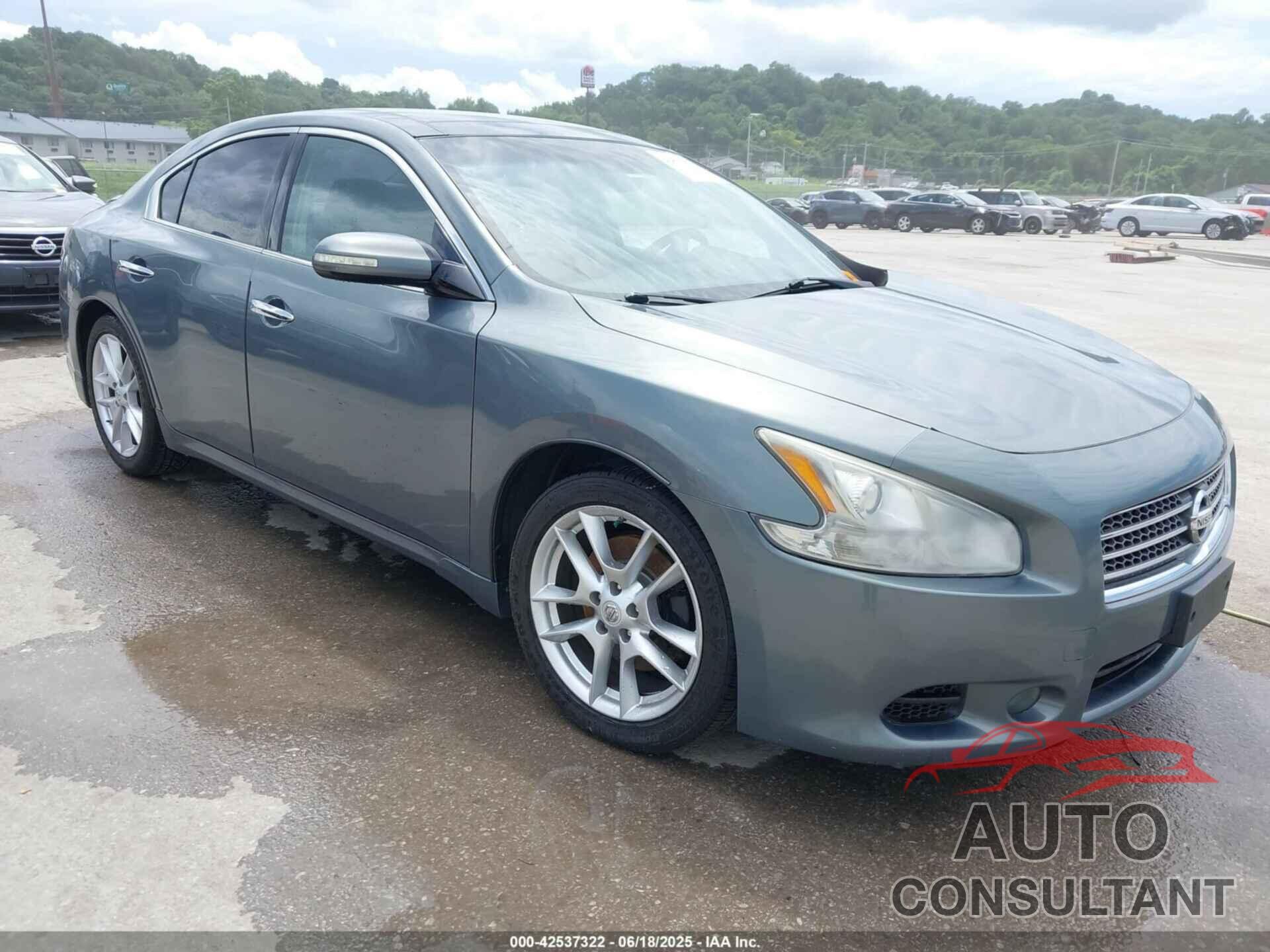 NISSAN MAXIMA 2011 - 1N4AA5AP6BC860597