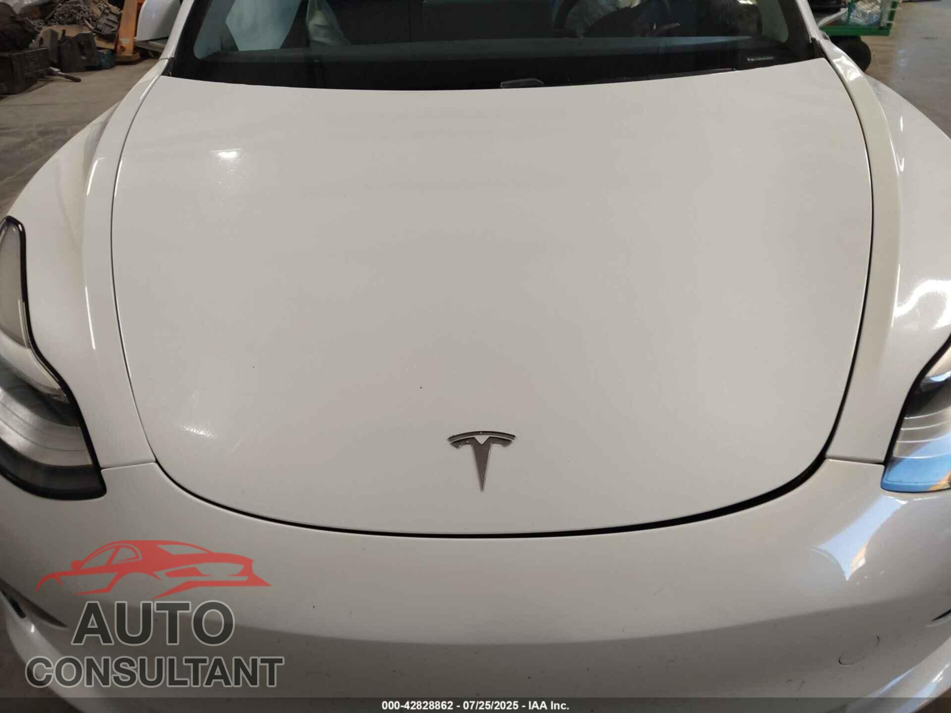 TESLA MODEL 3 2019 - 5YJ3E1EA6KF466784