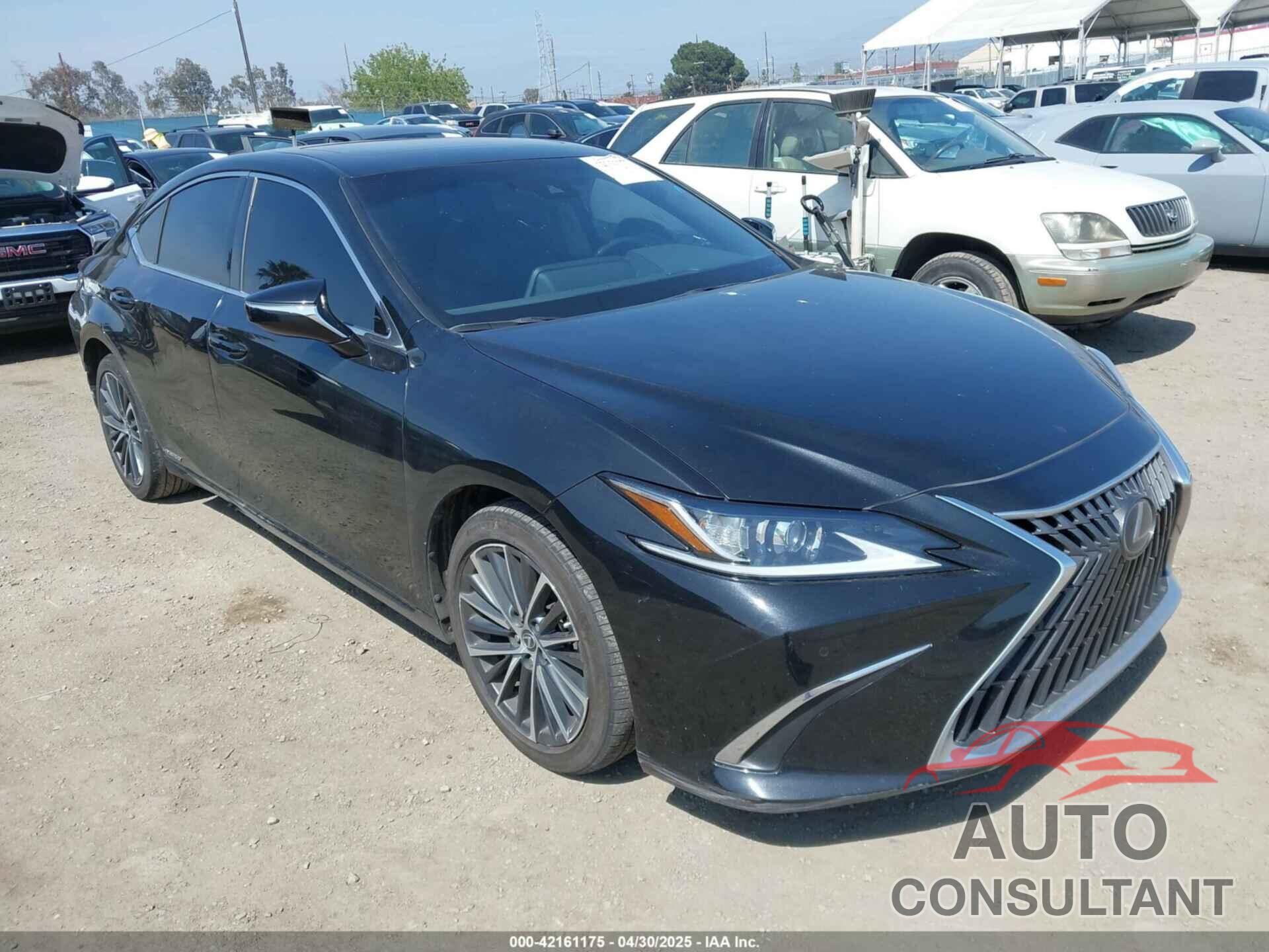 LEXUS ES 300H 2022 - 58ADA1C13NU013399