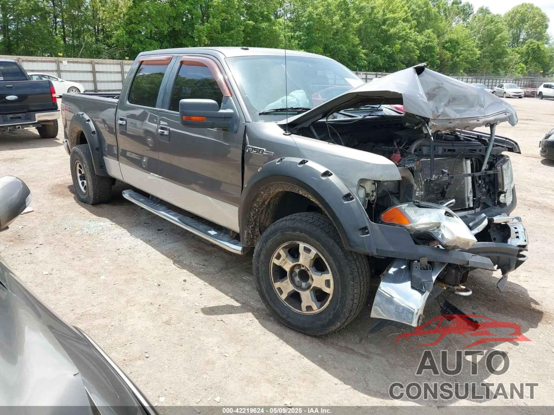 FORD F-150 2010 - 1FTFW1E83AFA90675