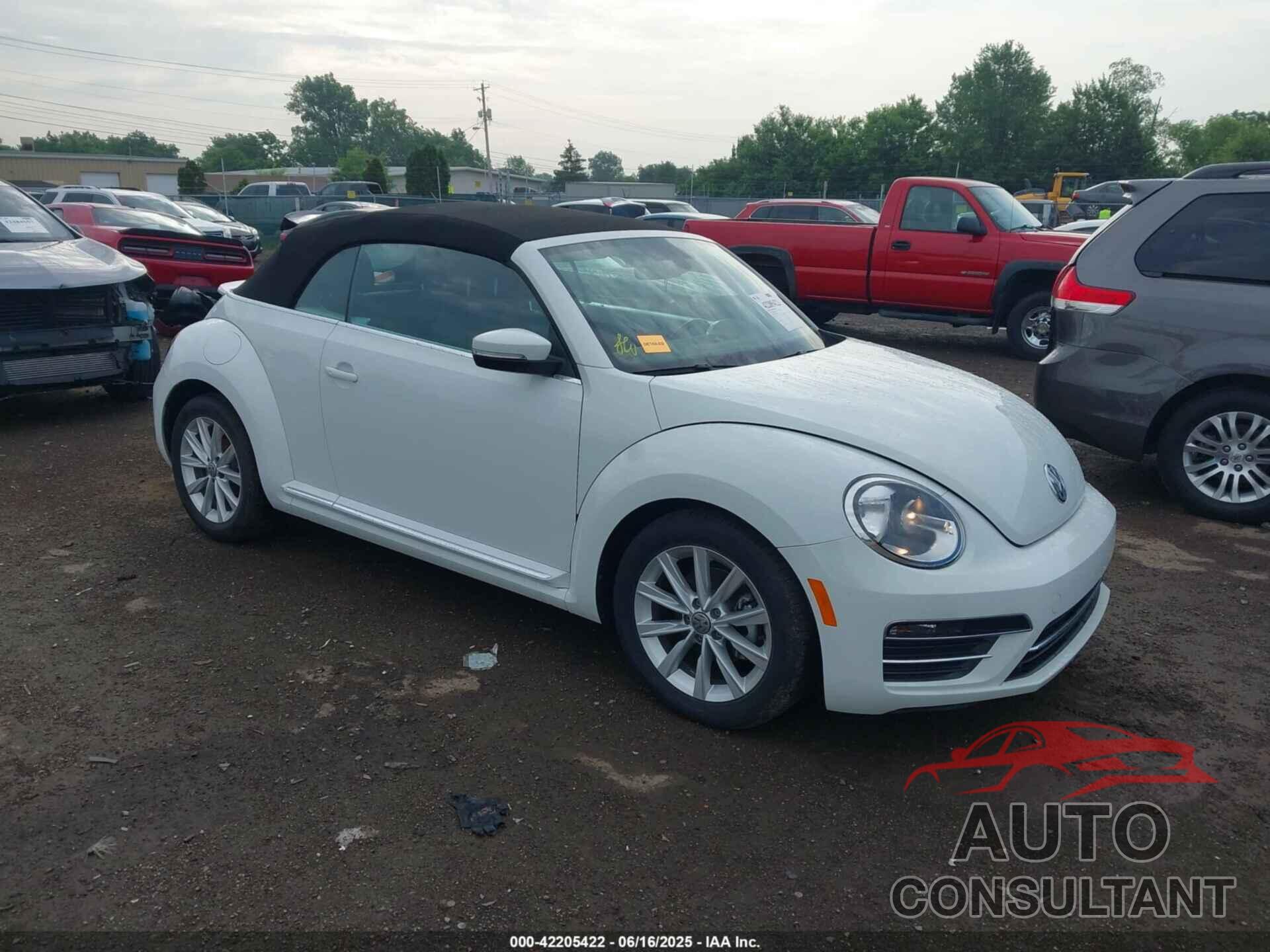 VOLKSWAGEN BEETLE 2019 - 3VW5DAAT8KM501241