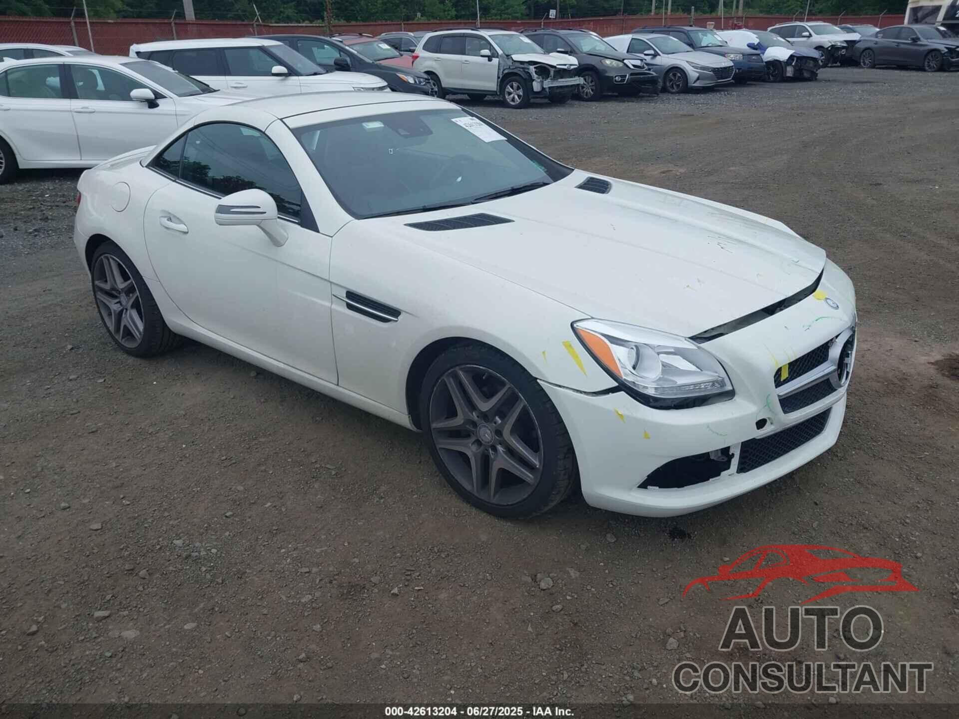 MERCEDES-BENZ SLK 250 2013 - WDDPK4HA7DF053204