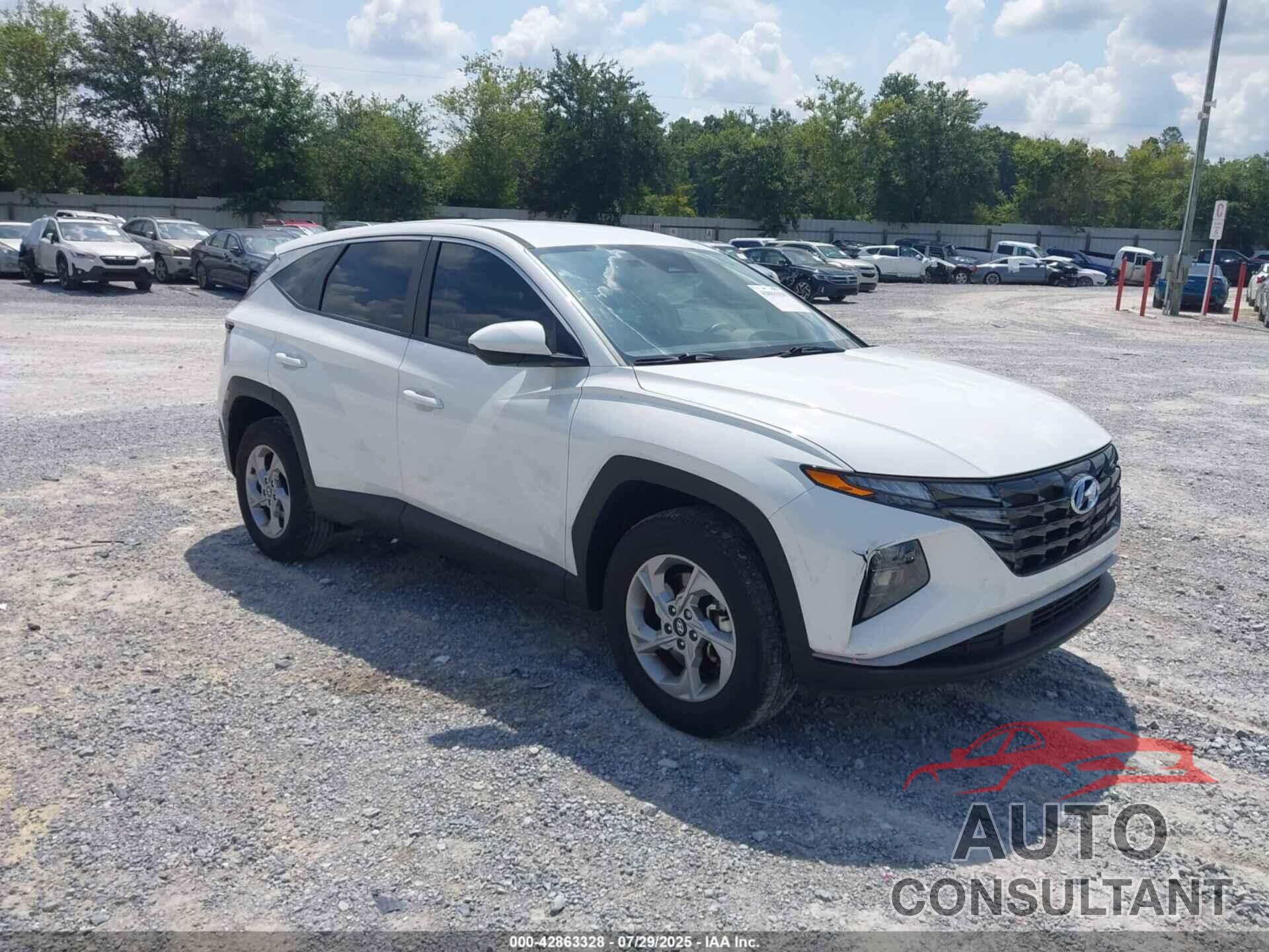 HYUNDAI TUCSON 2024 - 5NMJACDE0RH311028