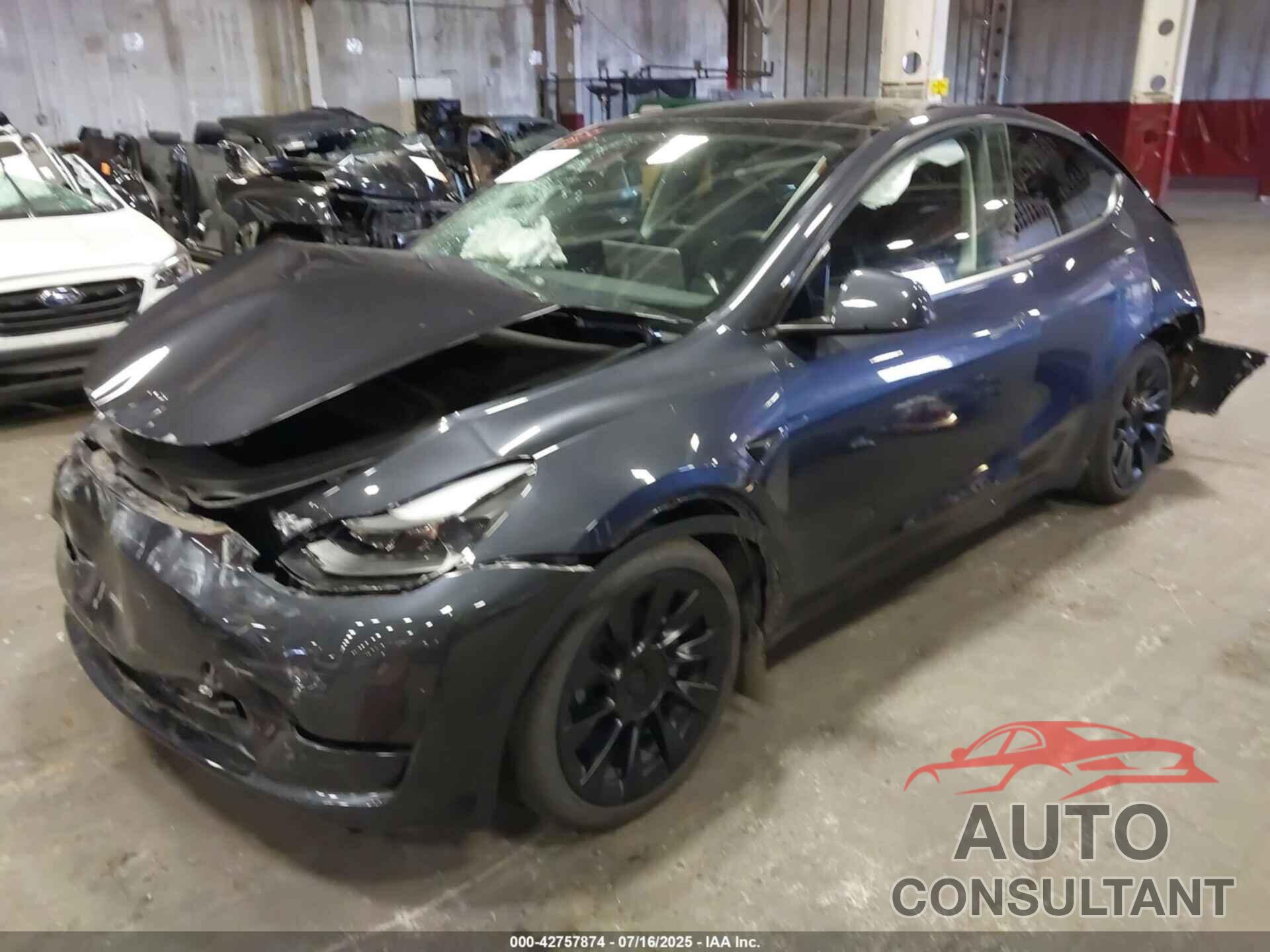 TESLA MODEL Y 2024 - 7SAYGAEE2RF071436