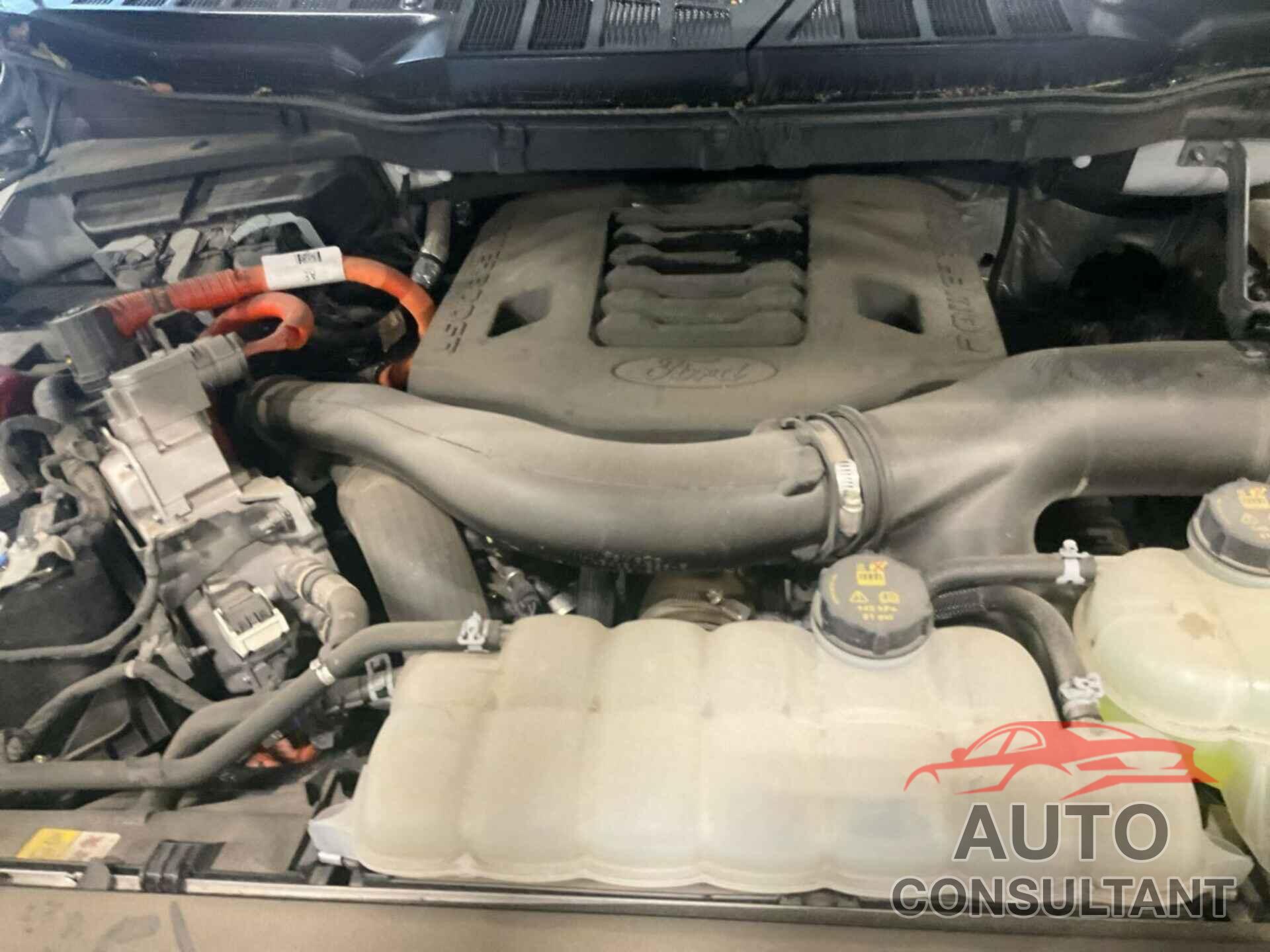 FORD F150 2022 - 1FTFW1CD5NFB29935