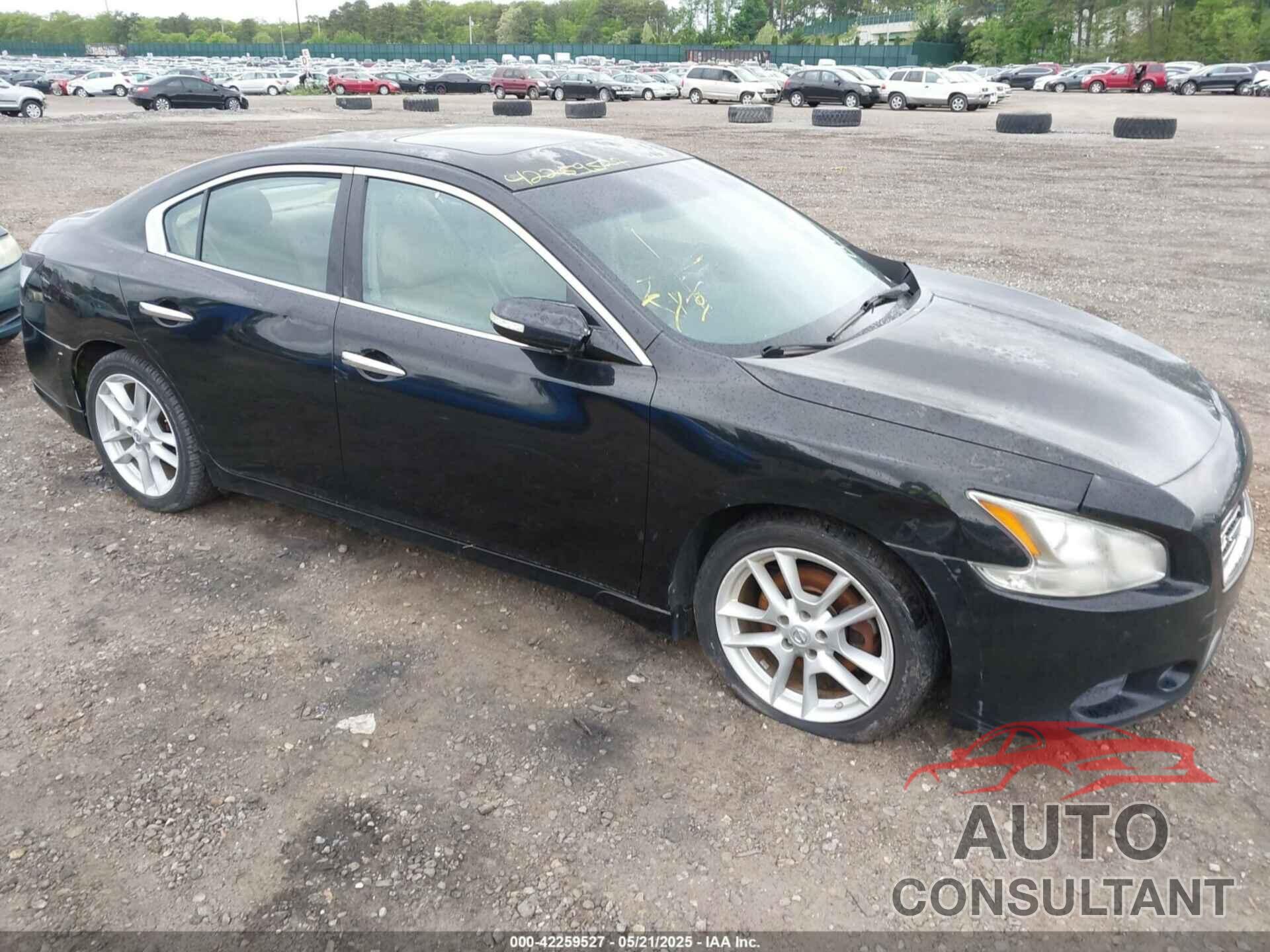 NISSAN MAXIMA 2010 - 1N4AA5AP9AC818696