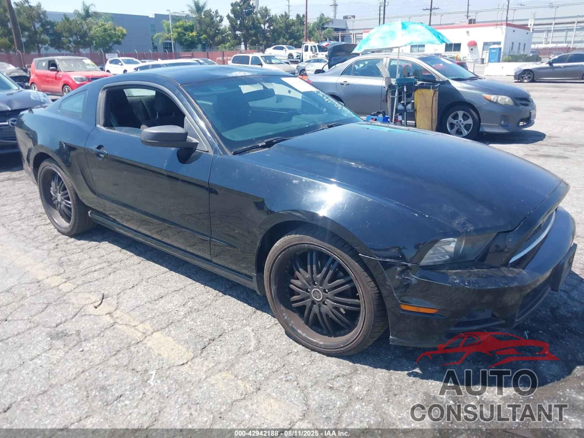 FORD MUSTANG 2014 - 1ZVBP8AMXE5294602