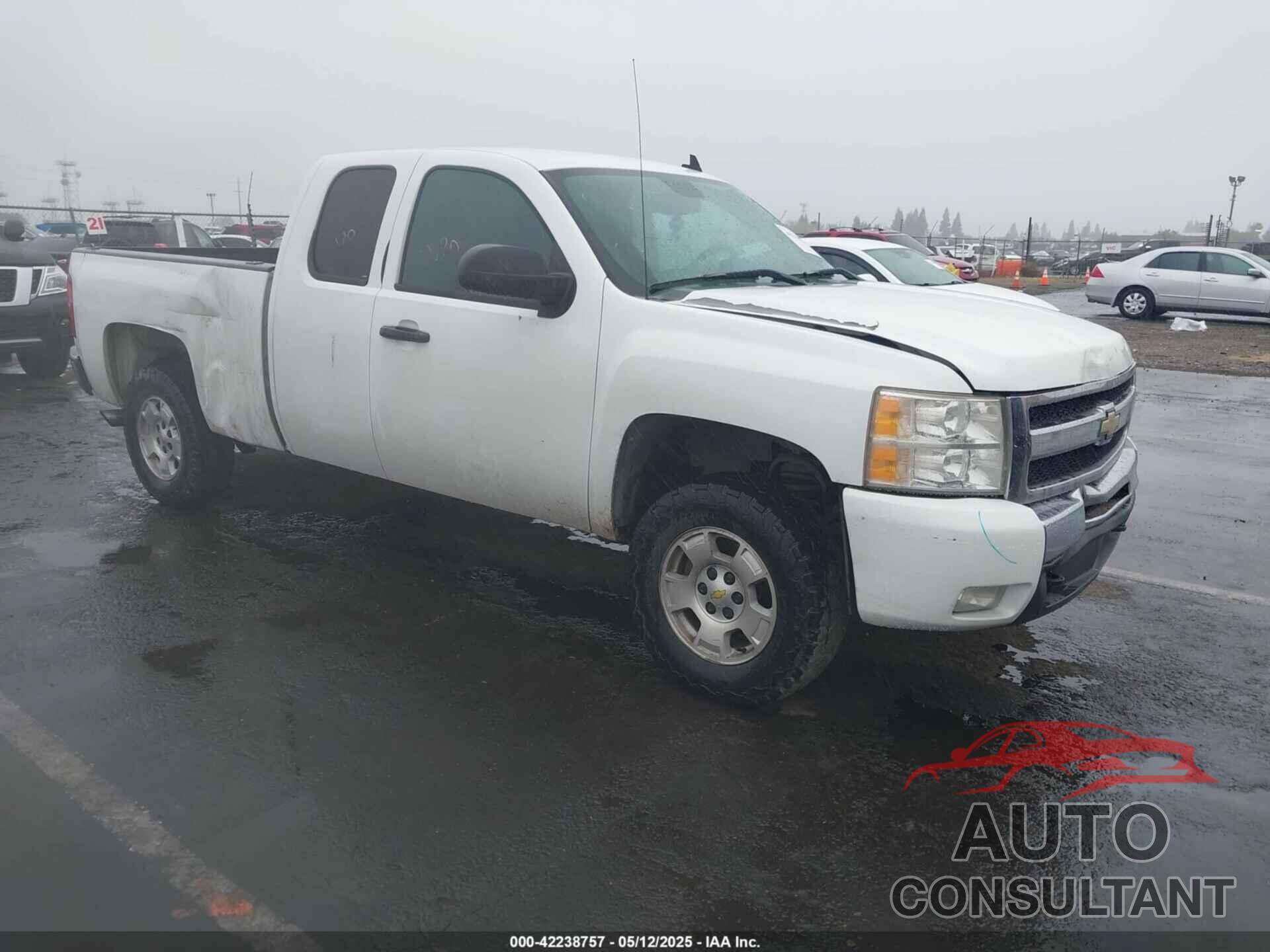 CHEVROLET SILVERADO 1500 2010 - 1GCSKSE3XAZ156139