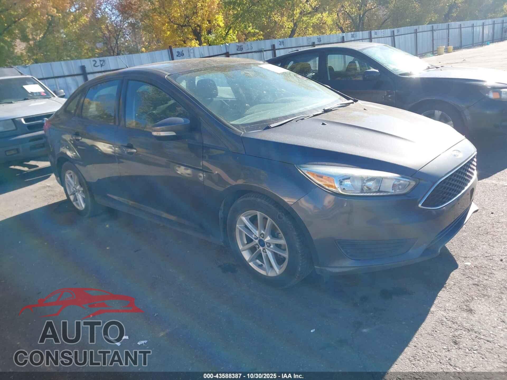 FORD FOCUS 2015 - 1FADP3FEXFL315242