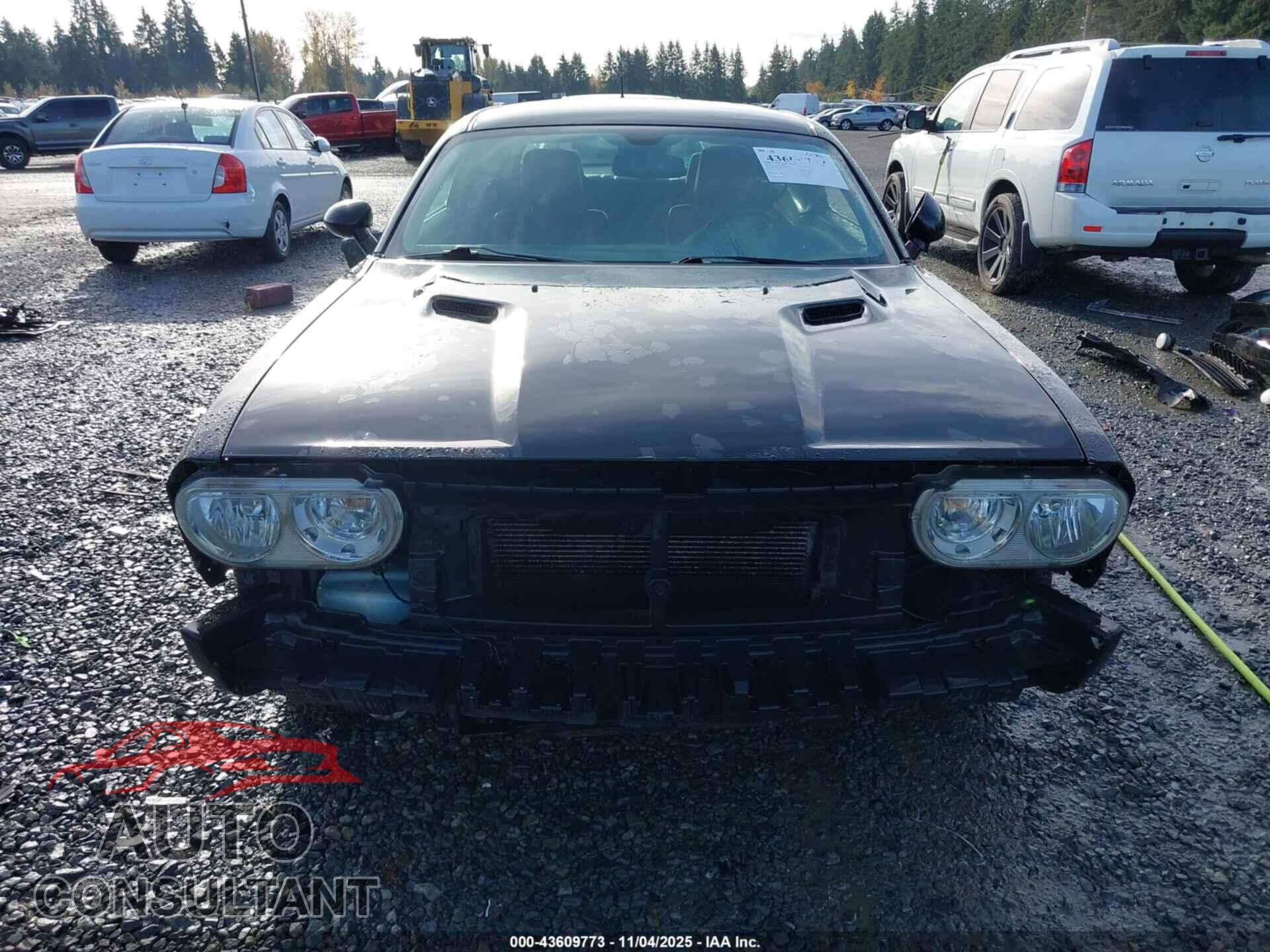 DODGE CHALLENGER 2013 - 2C3CDYAG2DH515695