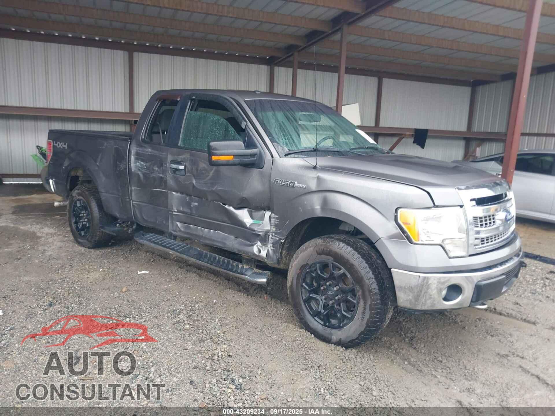 FORD F-150 2013 - 1FTFX1ET7DFD38464
