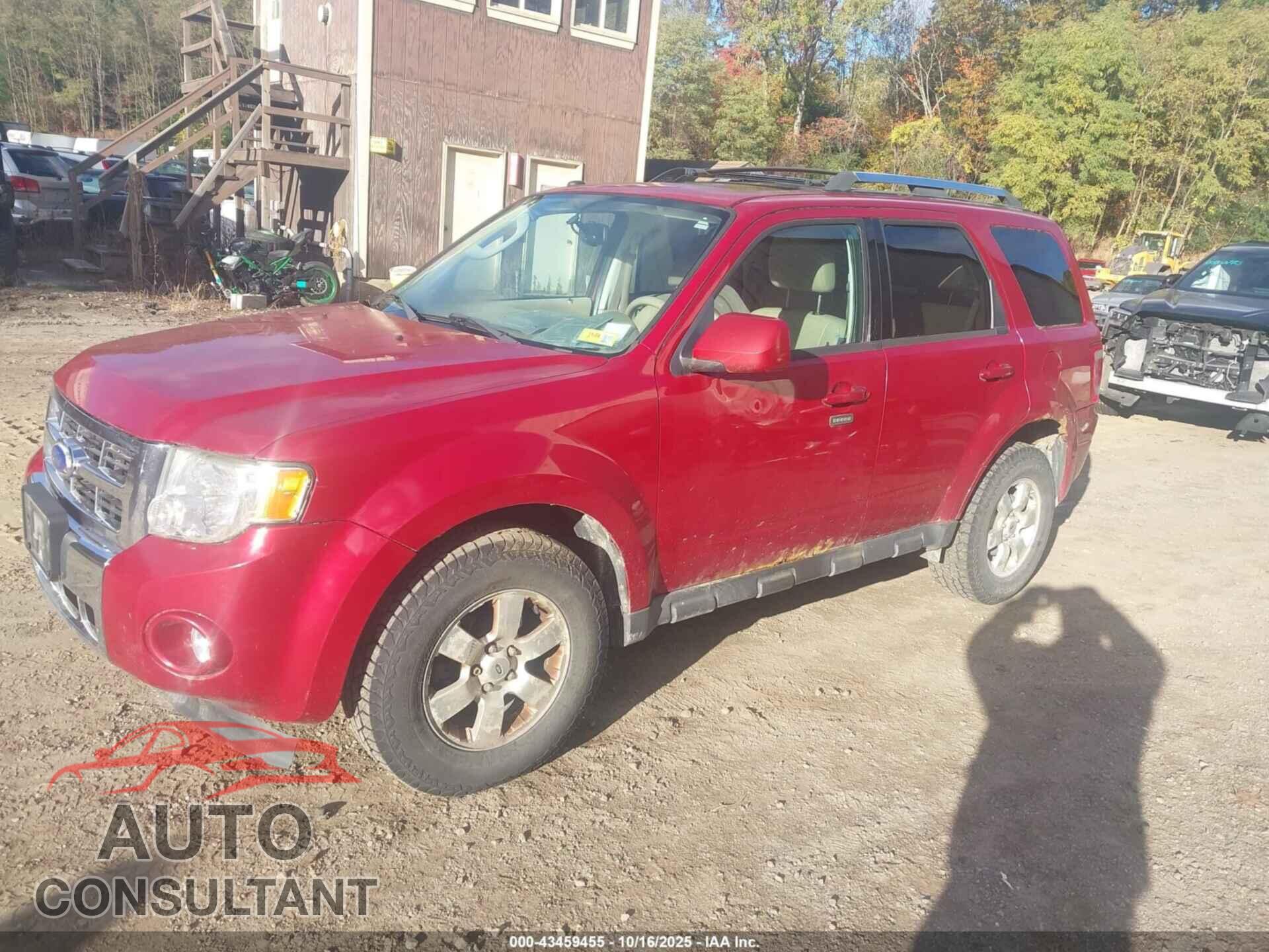 FORD ESCAPE 2011 - 1FMCU9EG9BKC27430
