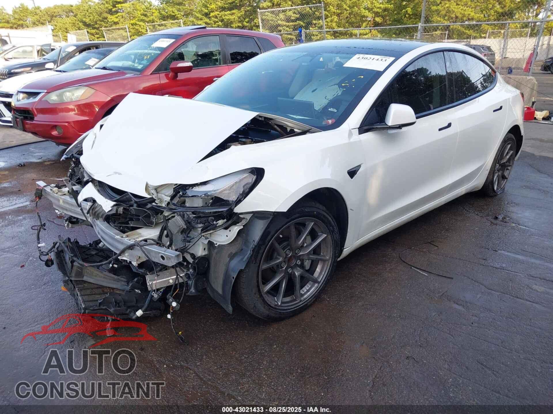 TESLA MODEL 3 2022 - 5YJ3E1EA1NF323603