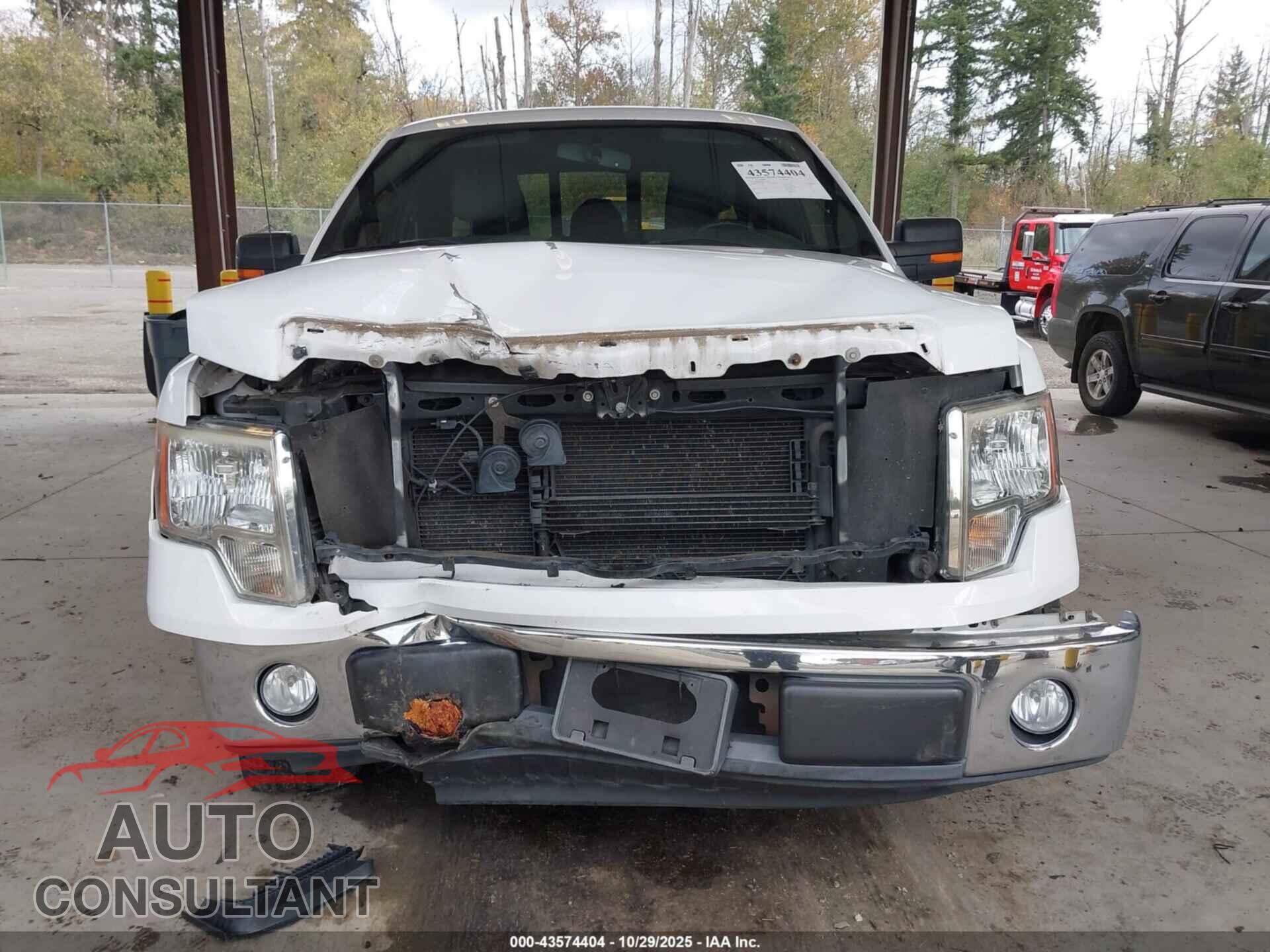 FORD F-150 2011 - 1FTFX1CF3BFA44893