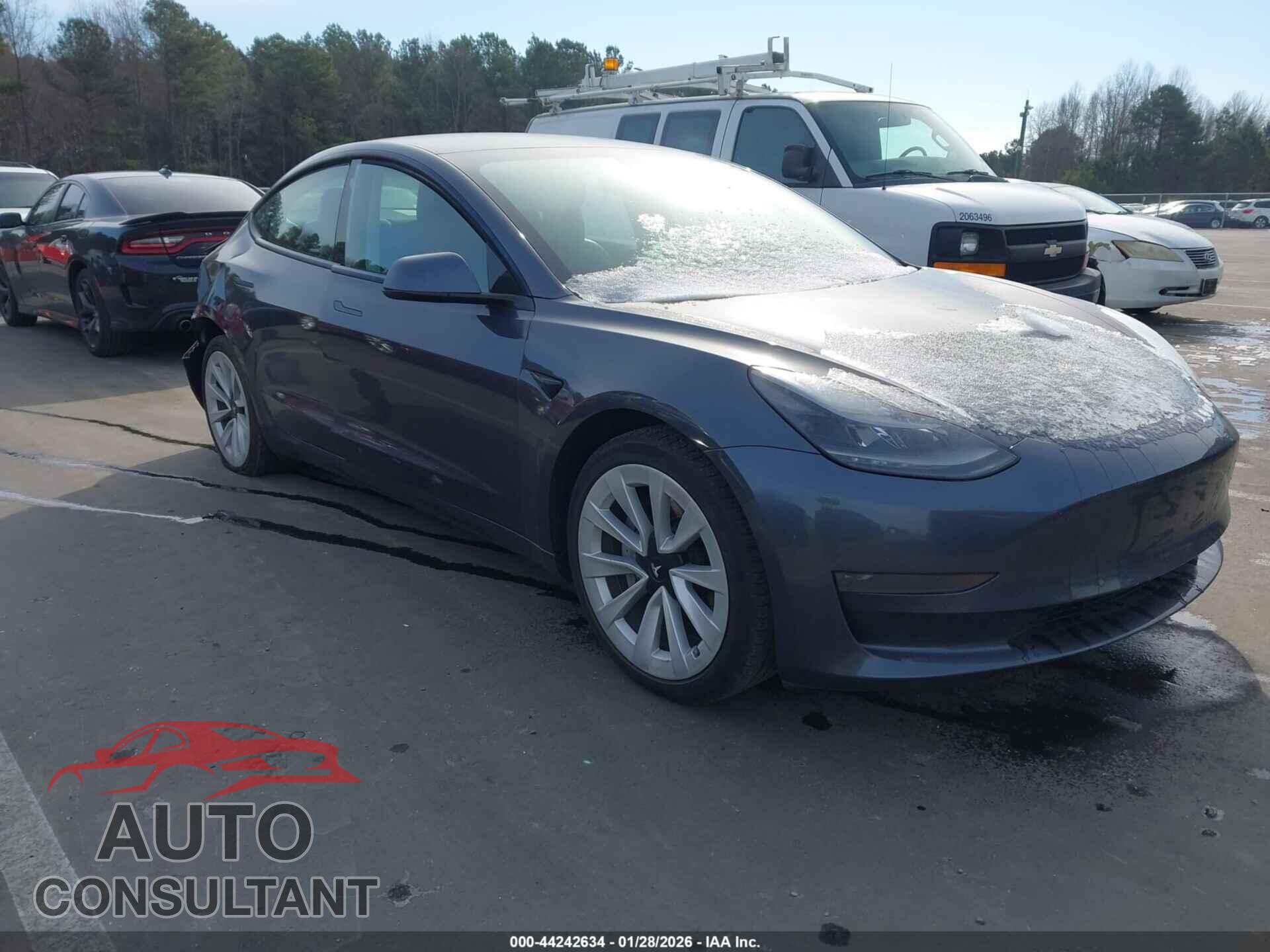 TESLA MODEL 3 2021 - 5YJ3E1EA0MF031858