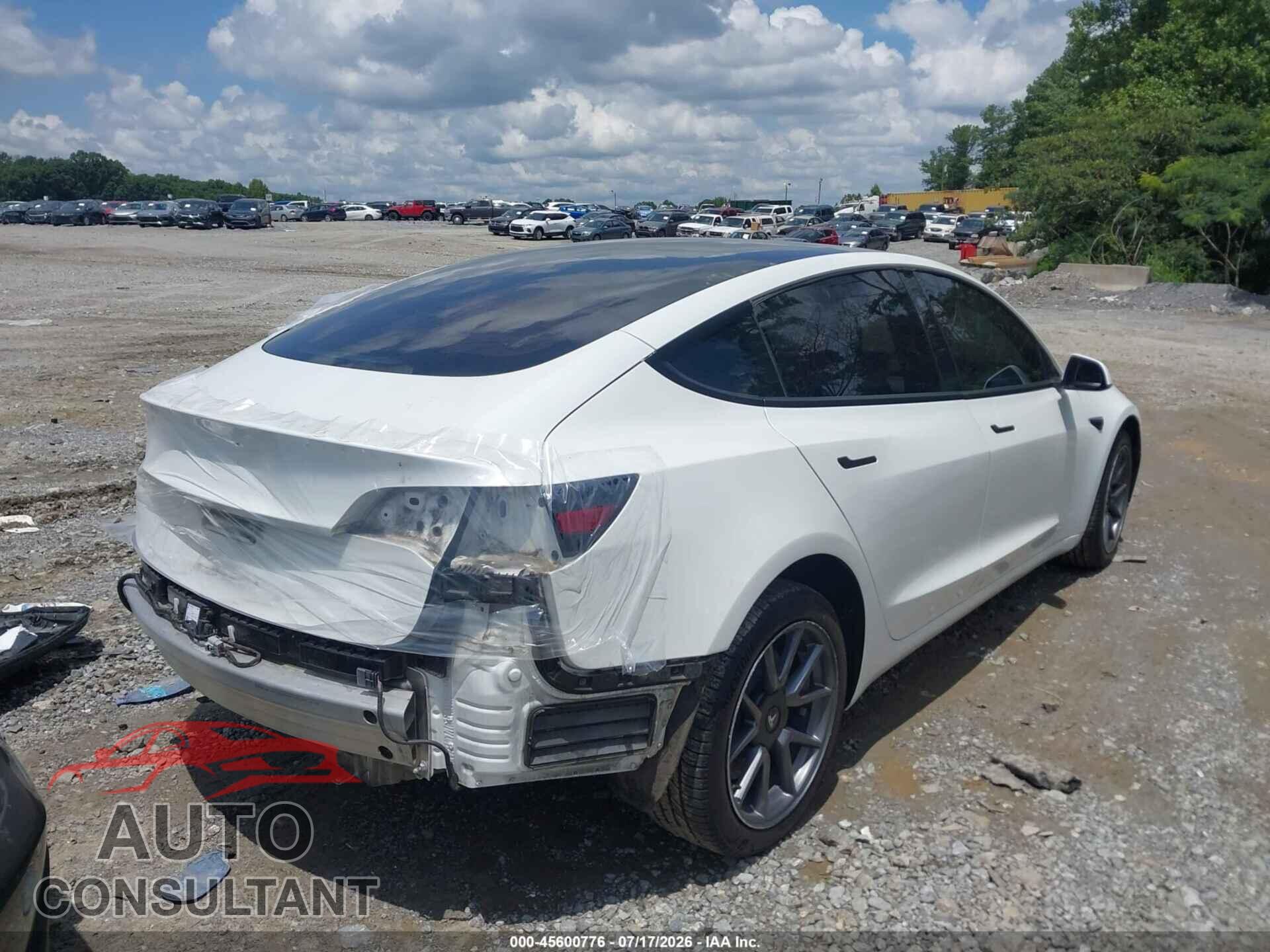 TESLA MODEL 3 2021 - 5YJ3E1EA4MF081632