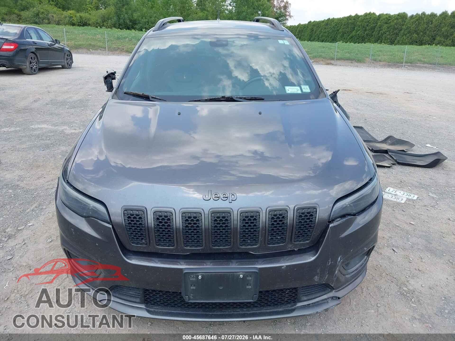 JEEP CHEROKEE 2019 - 1C4PJMDX4KD362984
