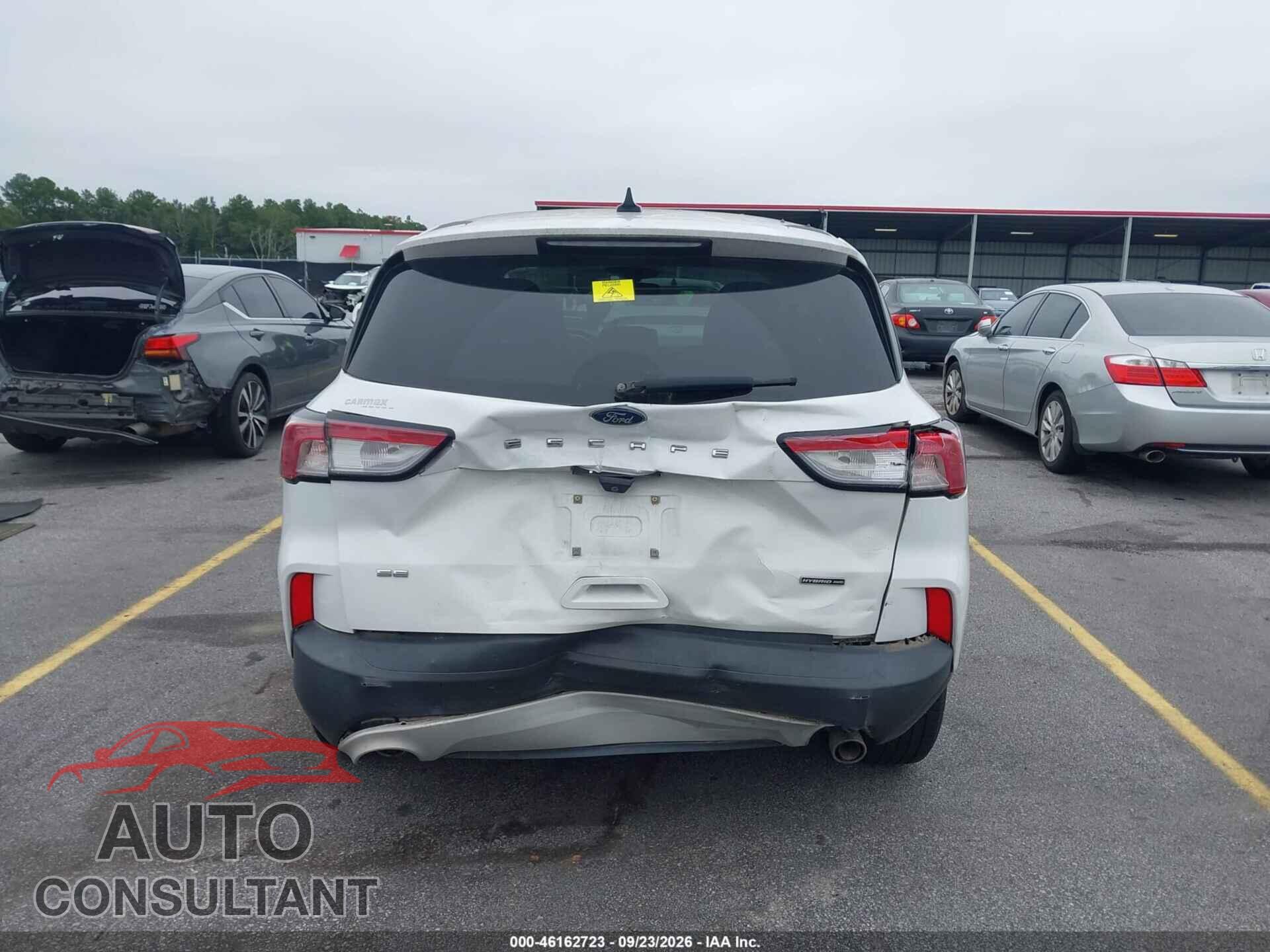 FORD ESCAPE 2020 - 1FMCU9BZ0LUA80393