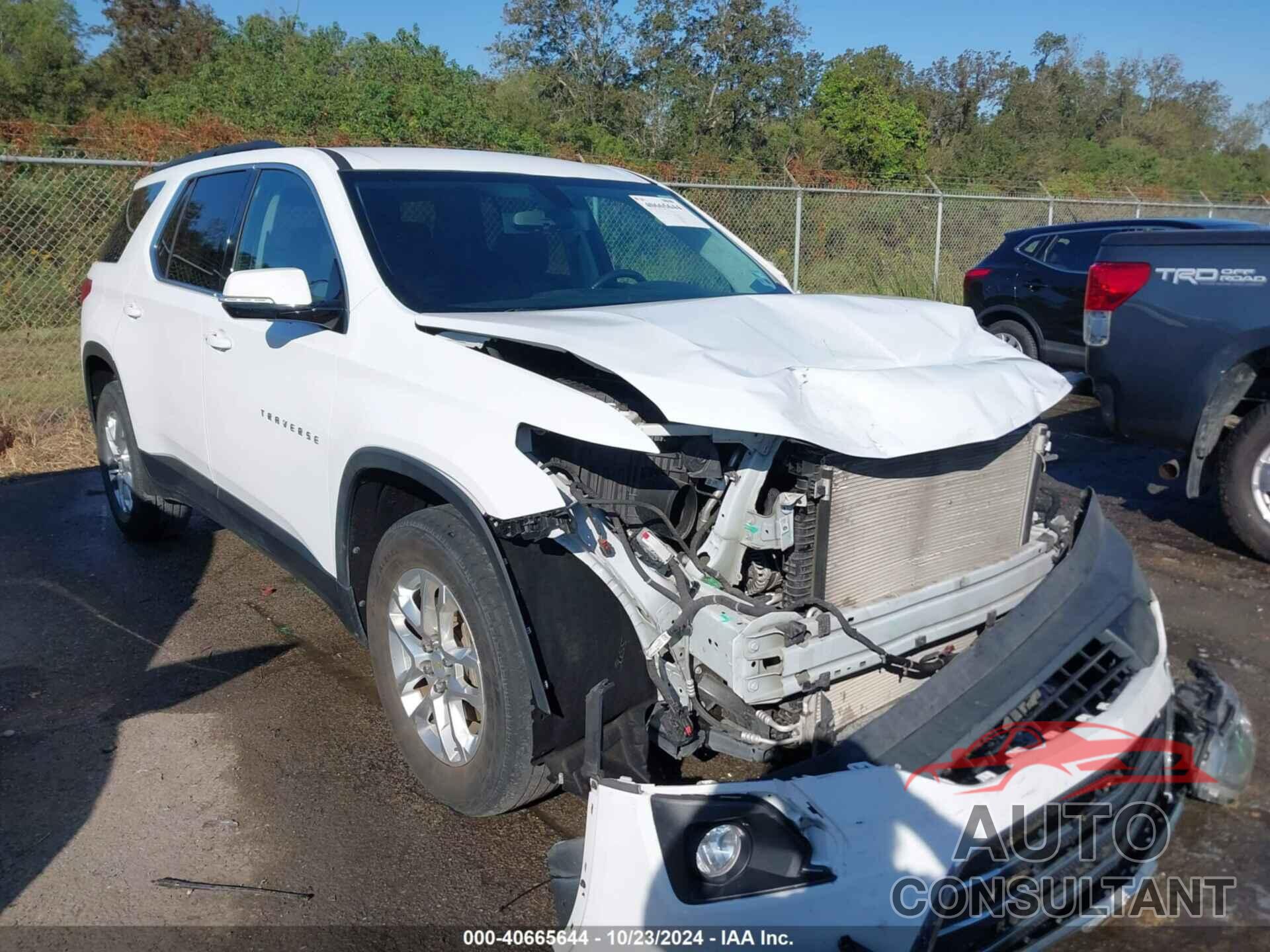 CHEVROLET TRAVERSE 2019 - 1GNERGKW4KJ220137