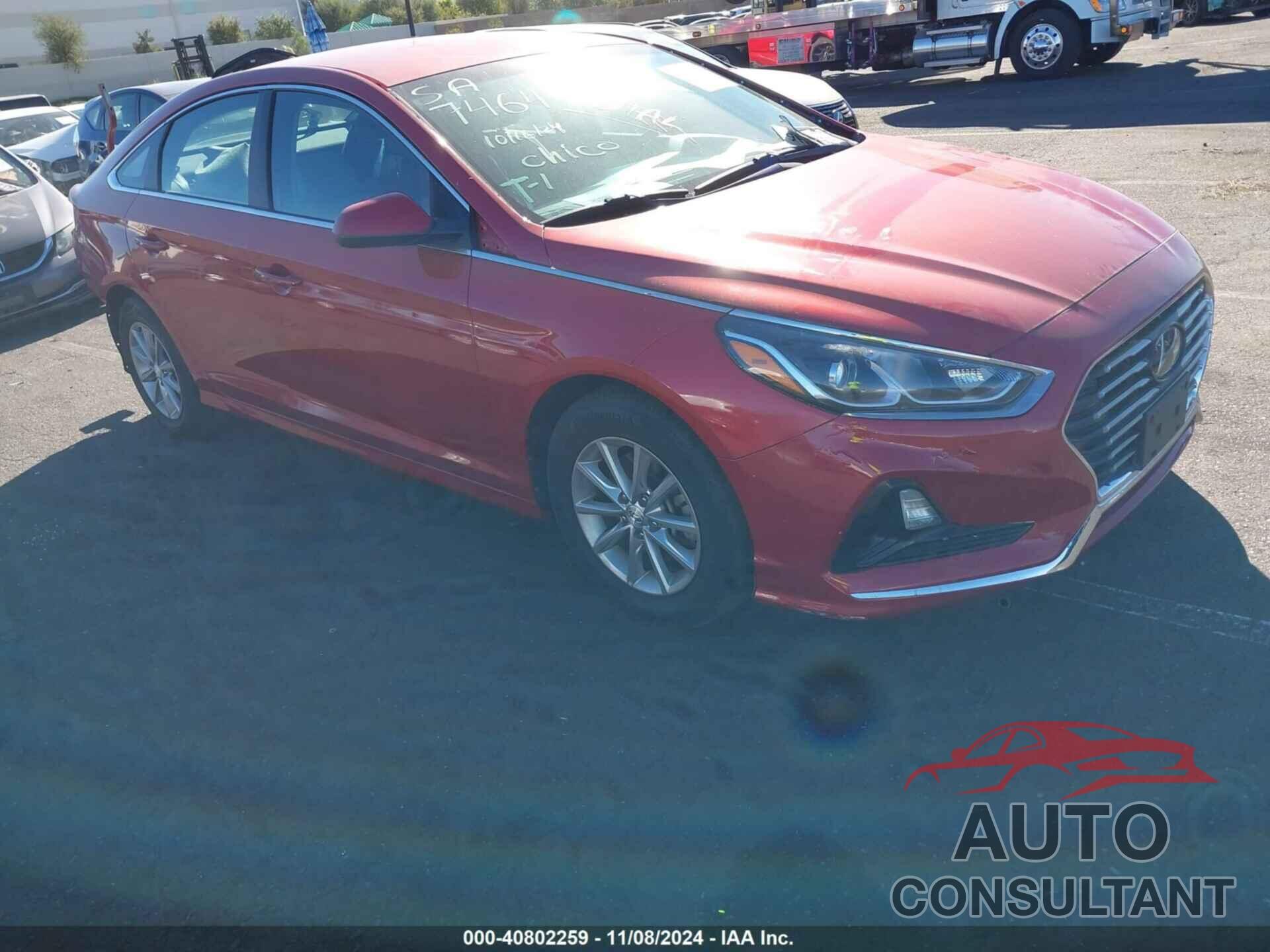 HYUNDAI SONATA 2019 - 5NPE24AF7KH779817