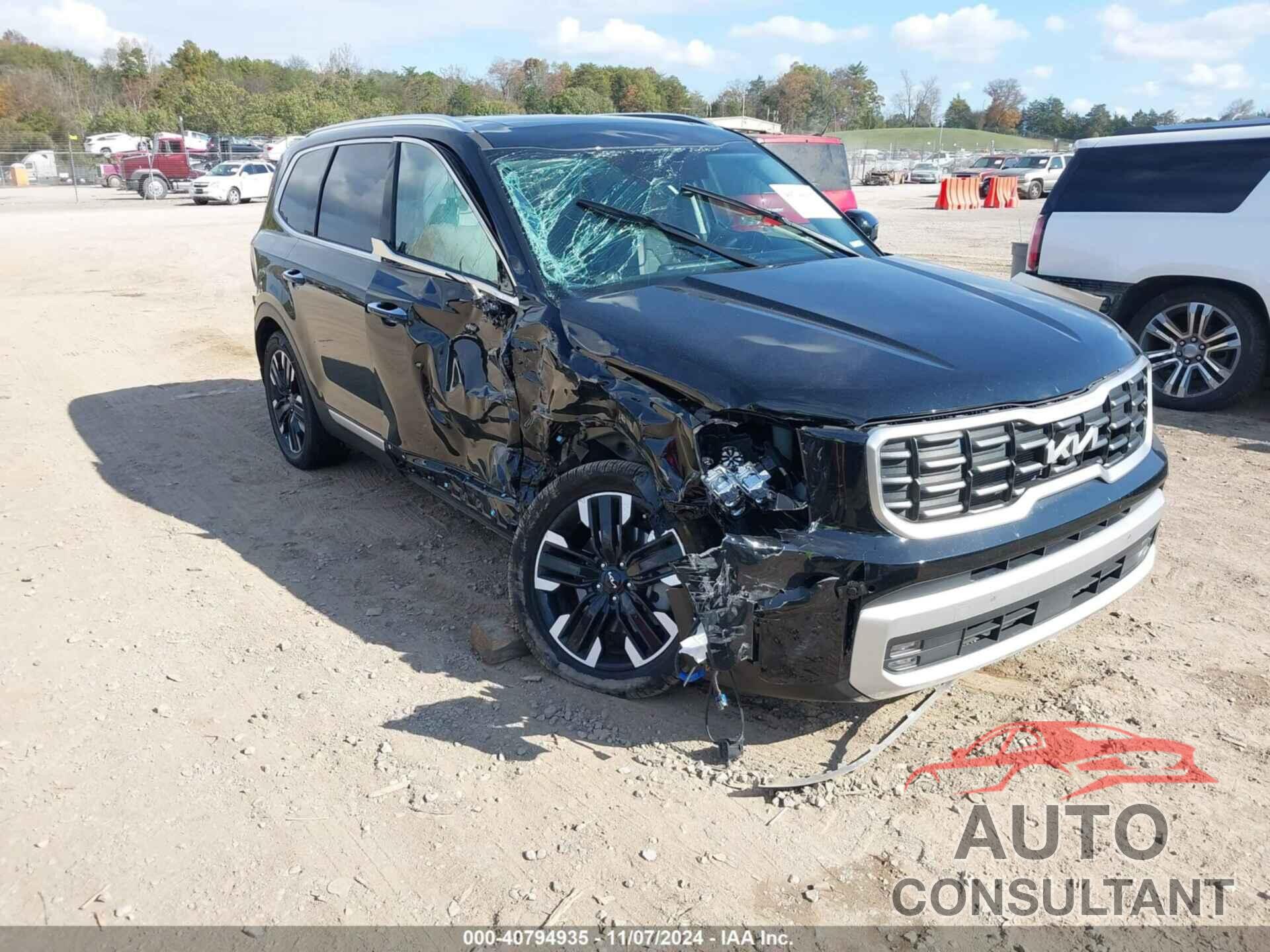 KIA TELLURIDE 2024 - 5XYP54GC5RG429441