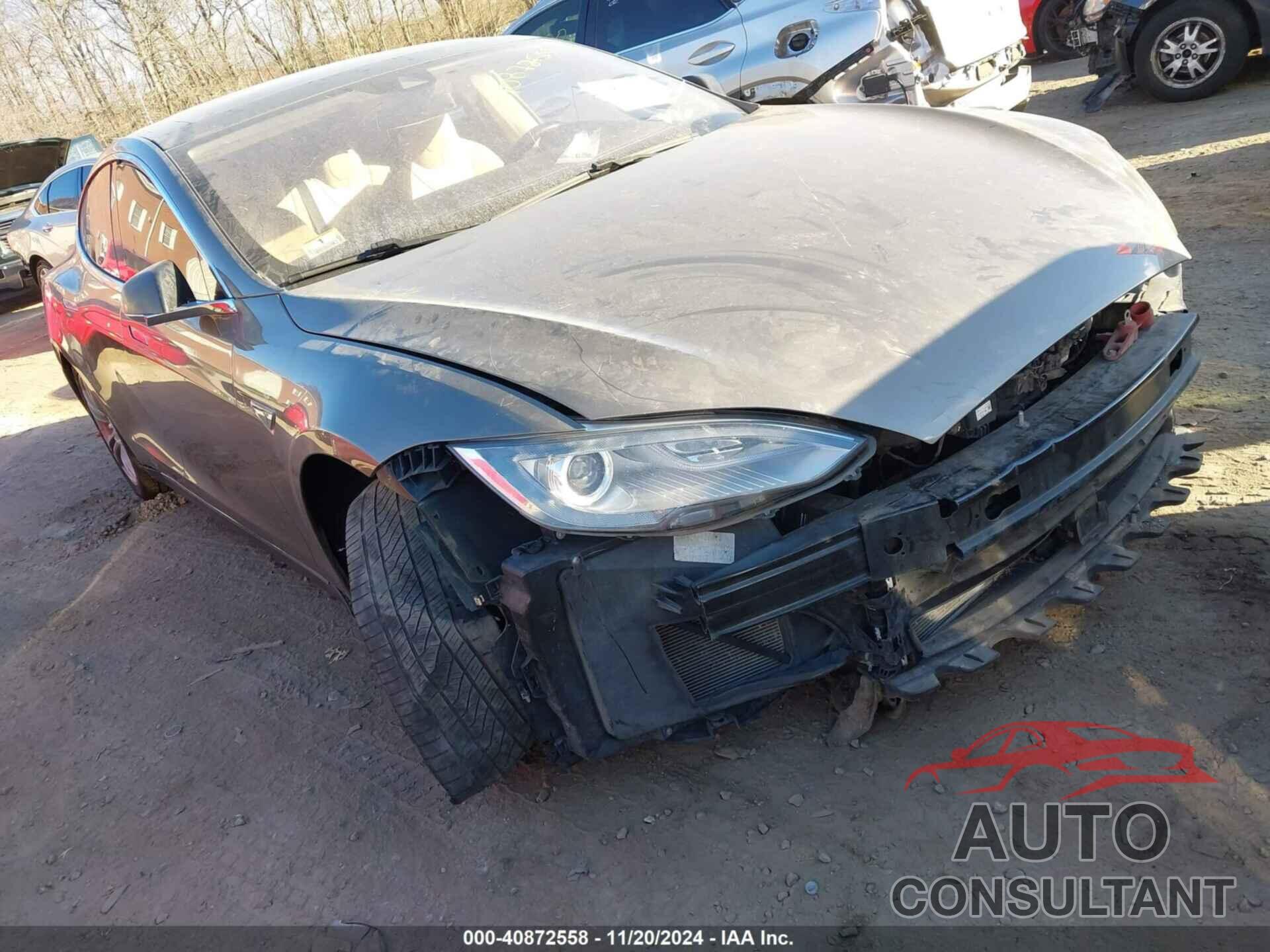 TESLA MODEL S 2015 - 5YJSA1S28FF095962