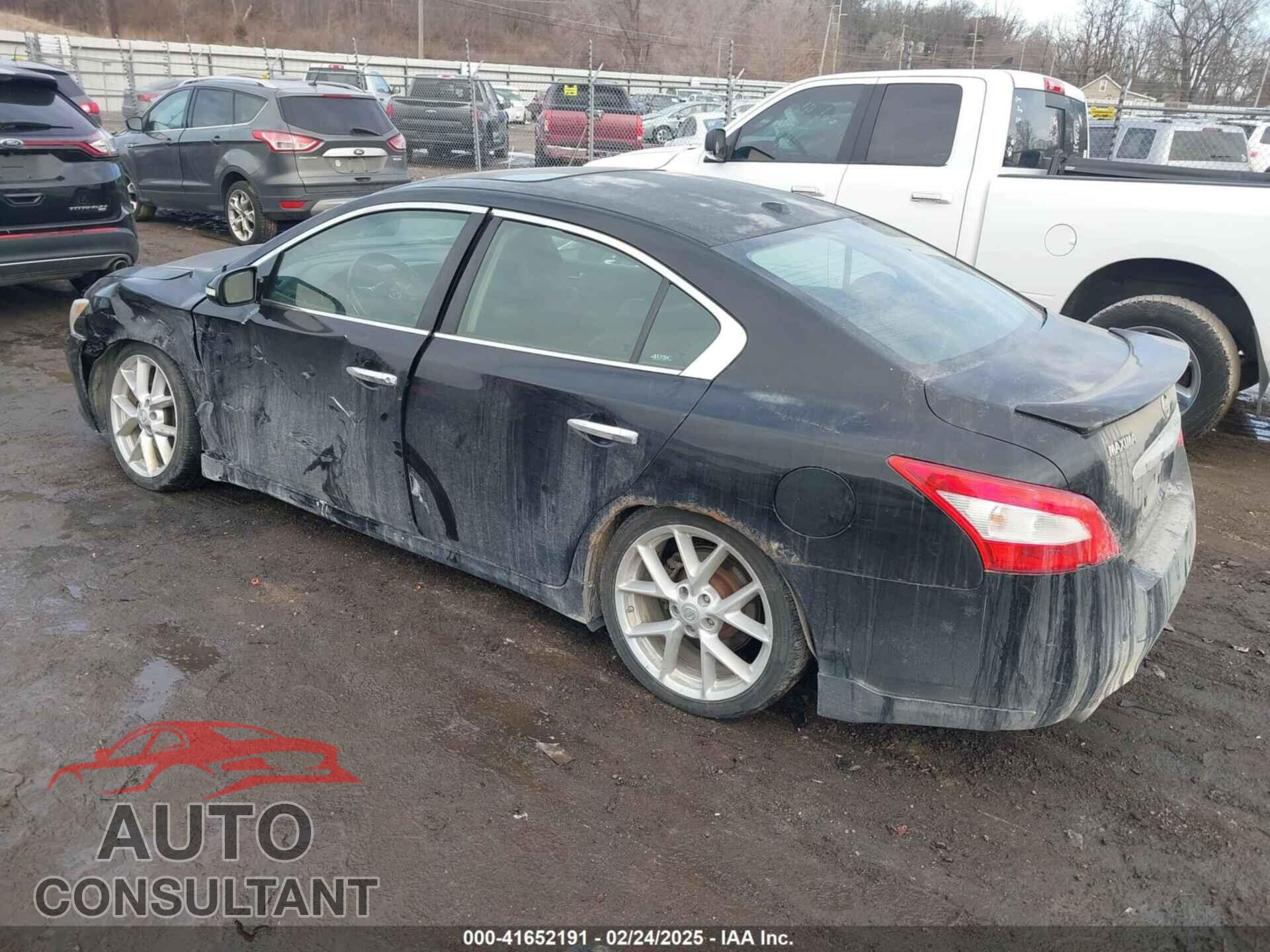 NISSAN MAXIMA 2009 - 1N4AA51EX9C856352
