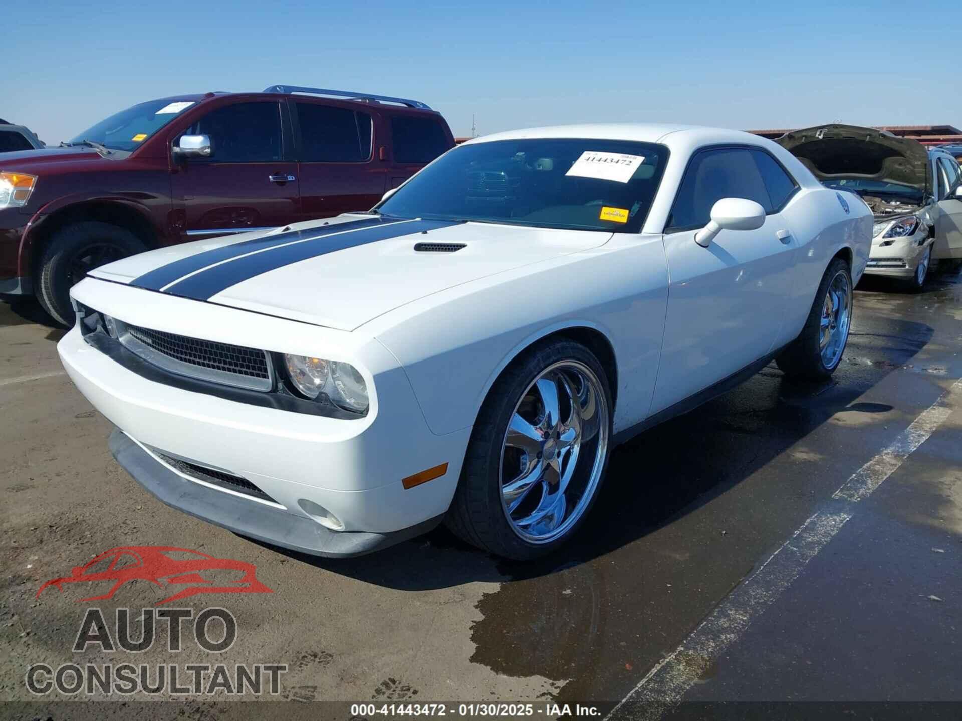 DODGE CHALLENGER 2013 - 2C3CDYAG3DH573945