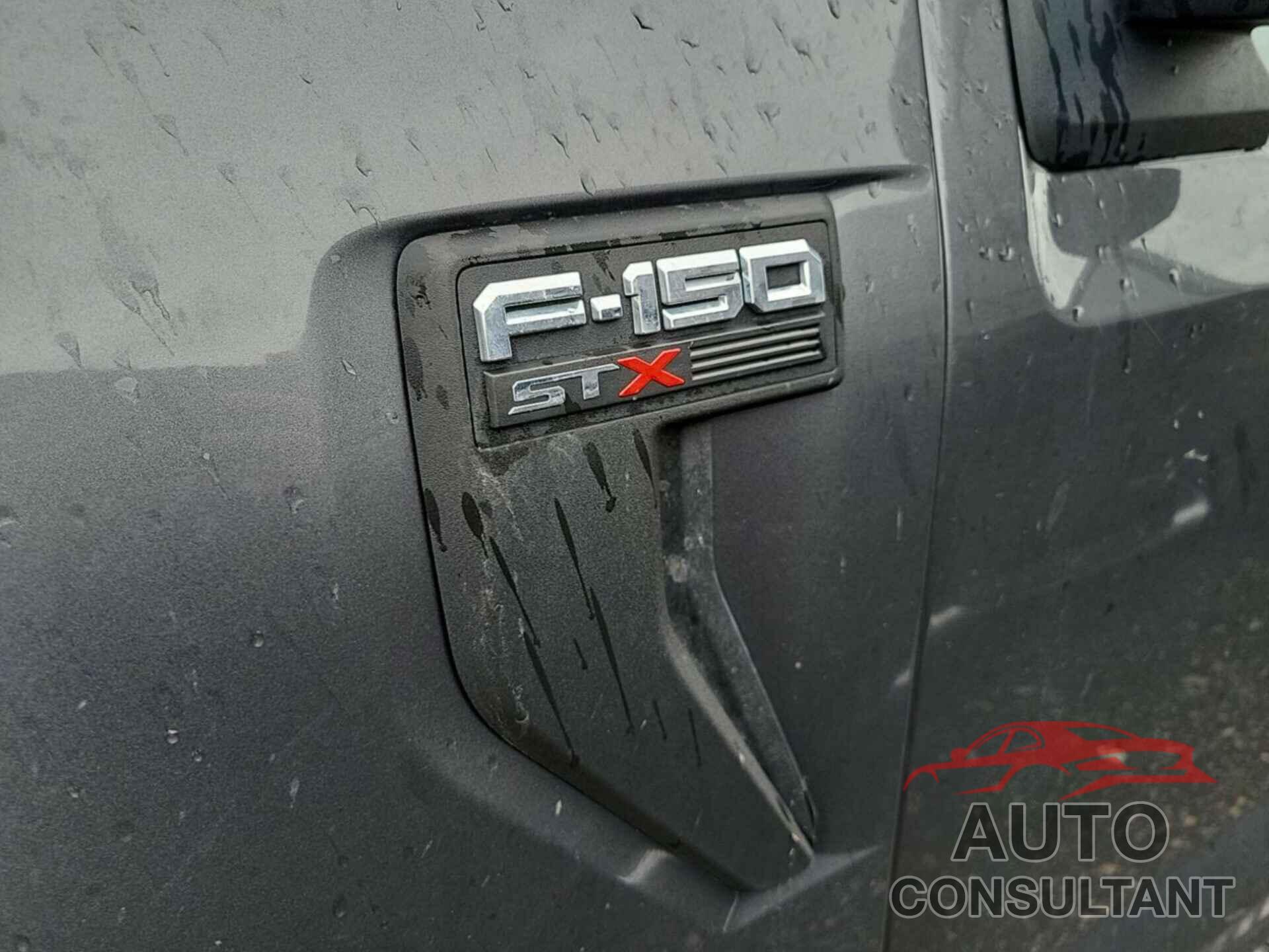 FORD F-150 2021 - 1FTEW1EB4MKF01035