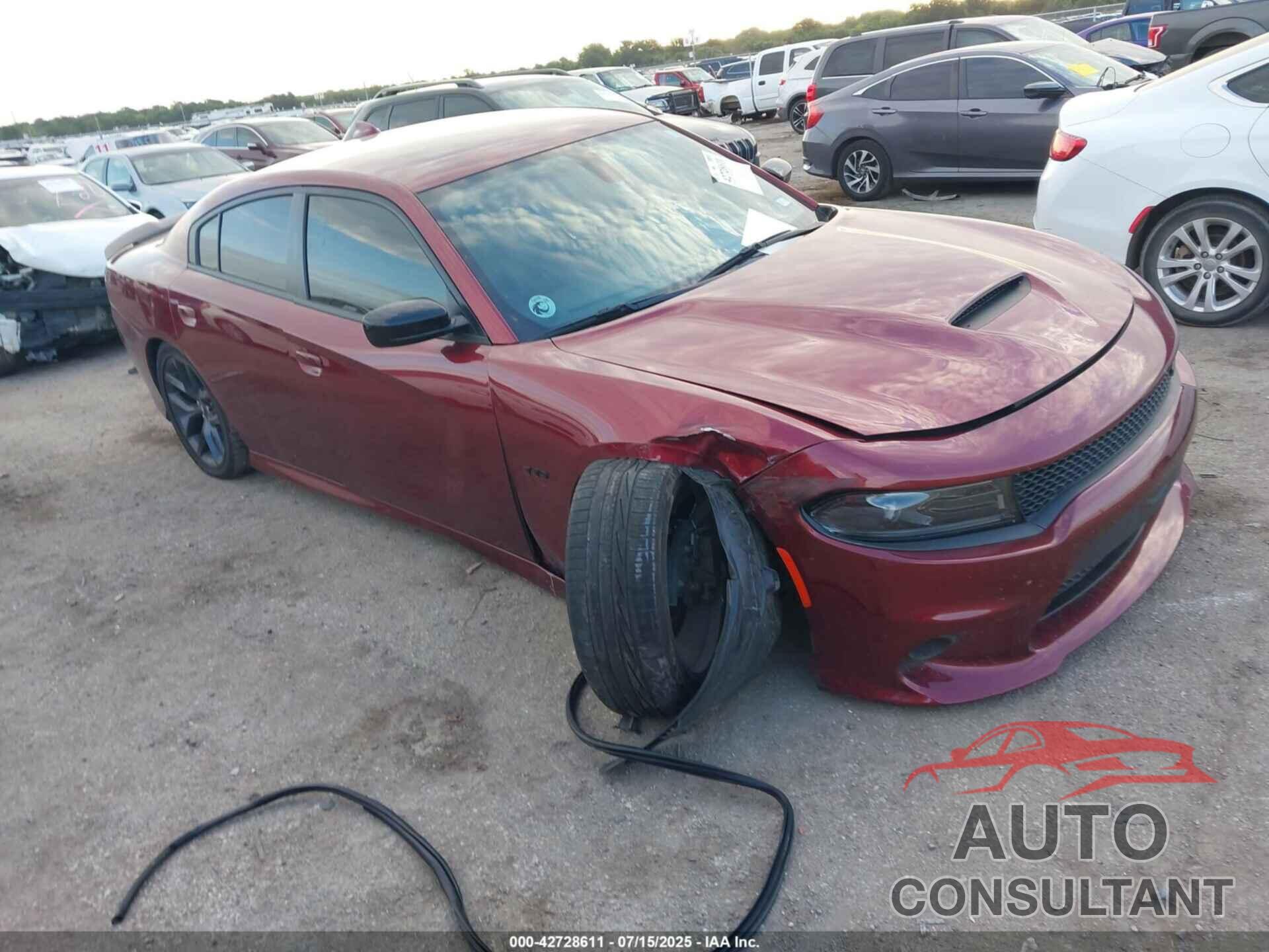 DODGE CHARGER 2023 - 2C3CDXCT7PH673135
