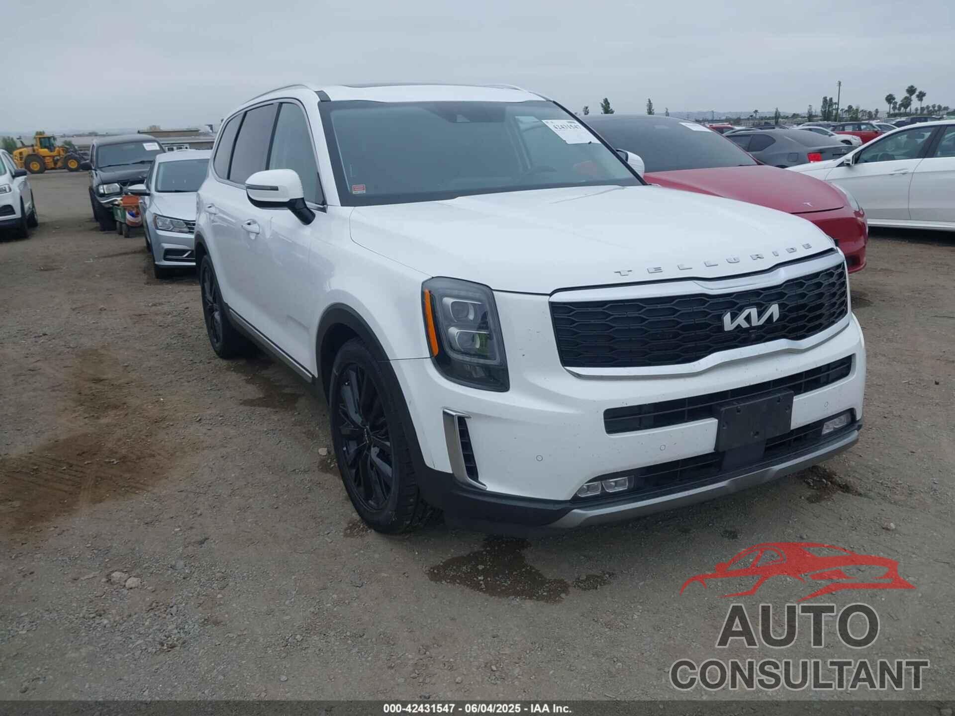 KIA TELLURIDE 2022 - 5XYP5DHCXNG232306