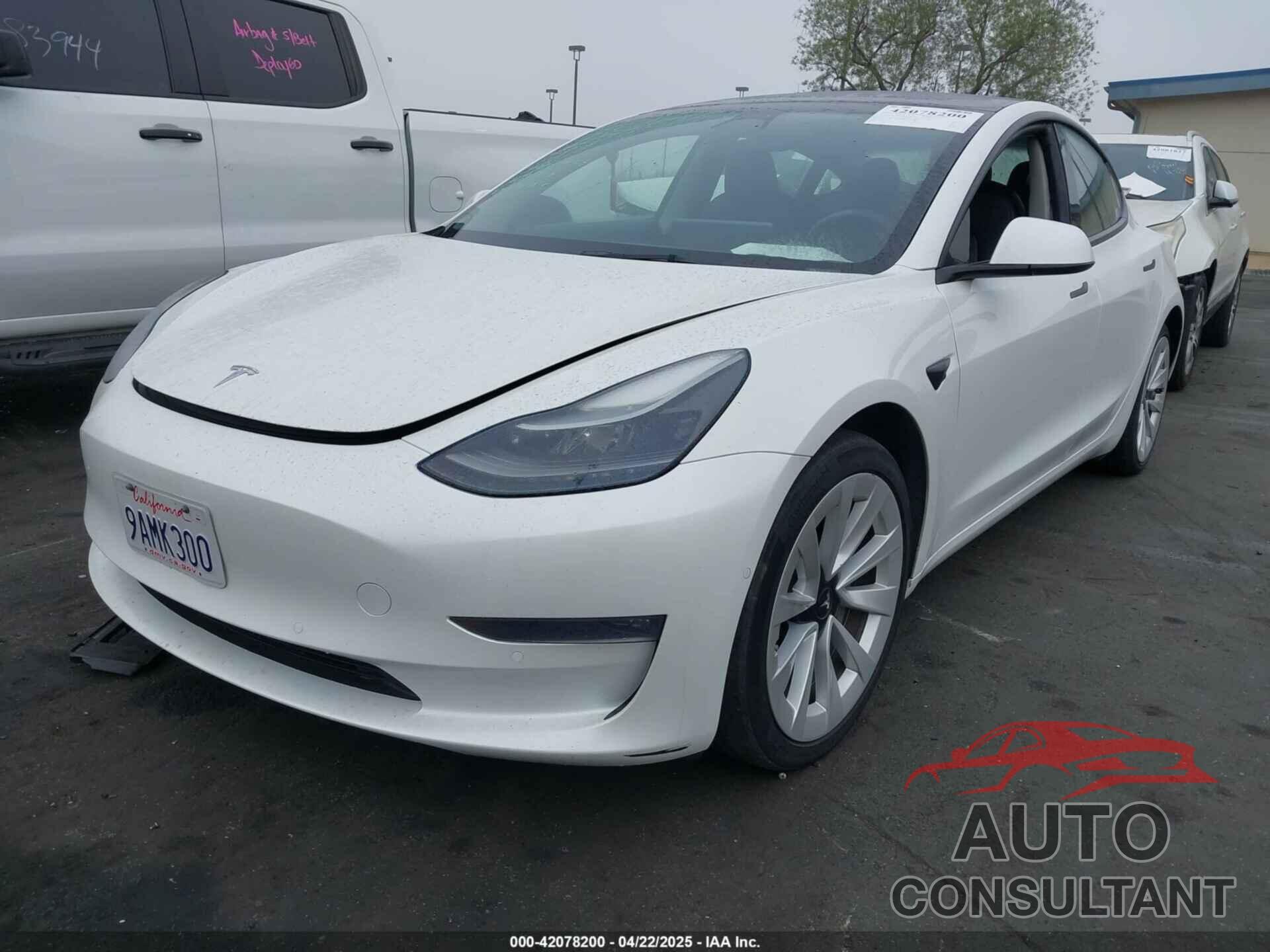TESLA MODEL 3 2022 - 5YJ3E1EB8NF195708