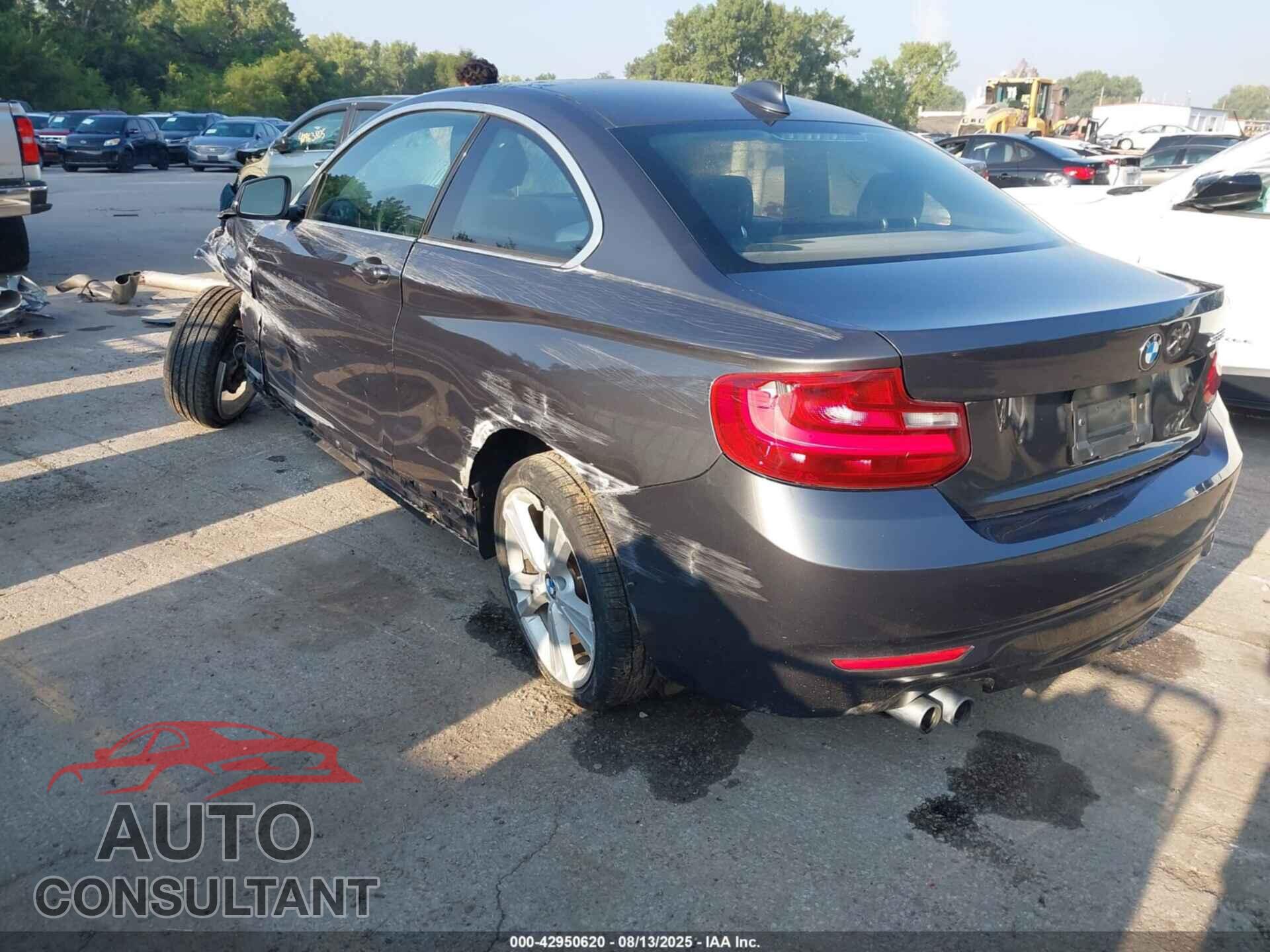 BMW 228I 2014 - WBA1F5C50EV256380