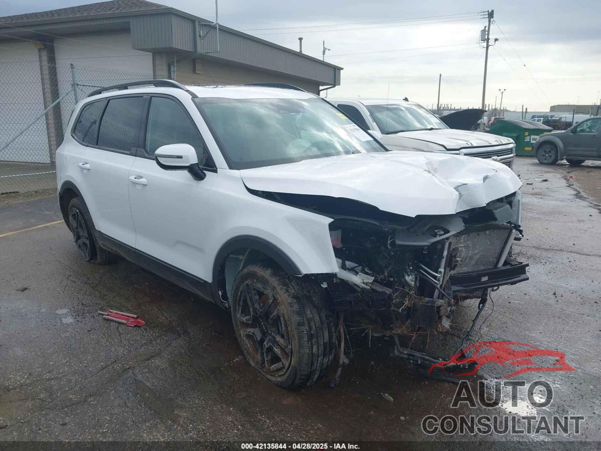 KIA TELLURIDE 2024 - 5XYP5DGC6RG538930