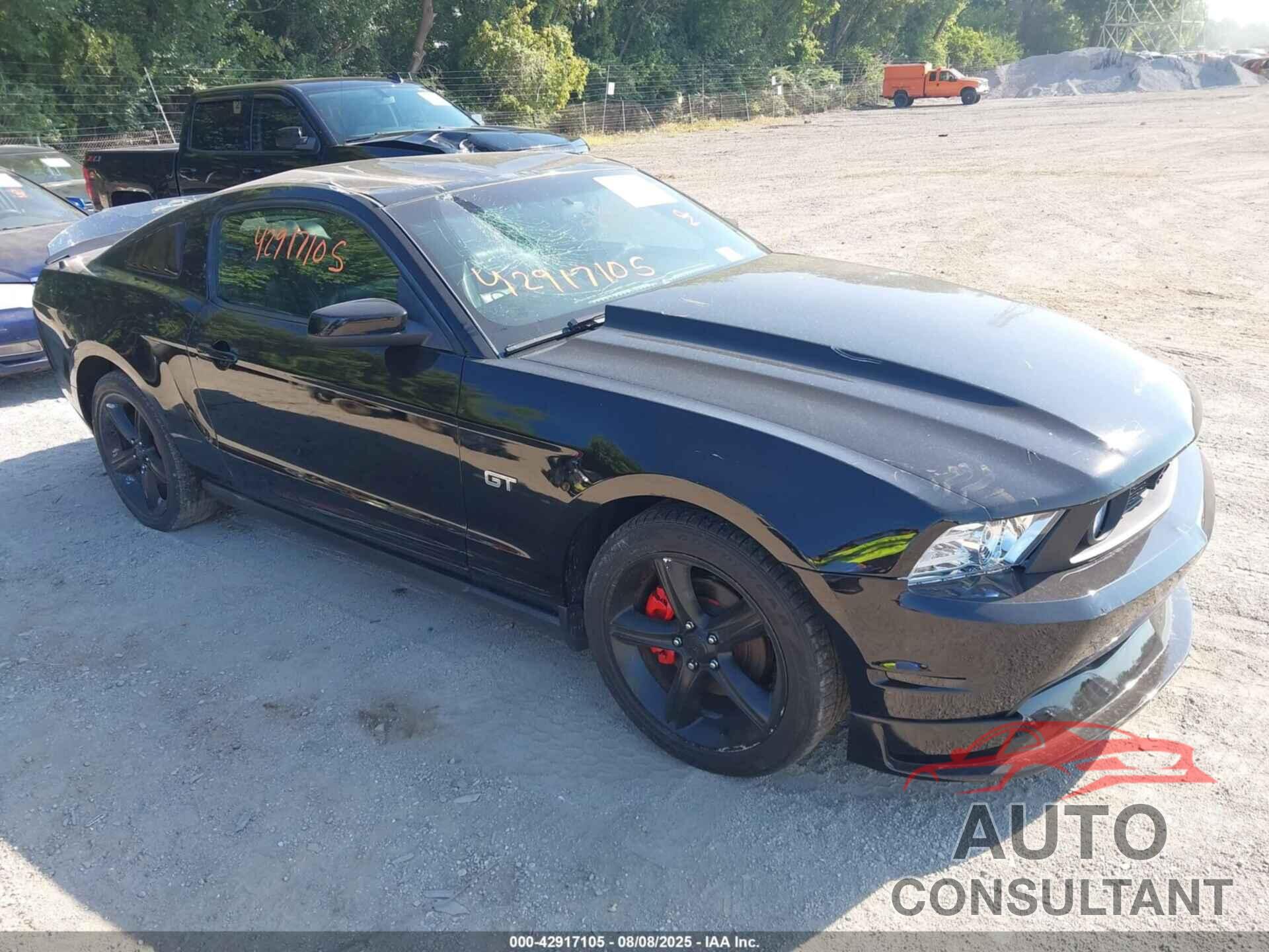 FORD MUSTANG 2010 - 1ZVBP8CH9A5166250