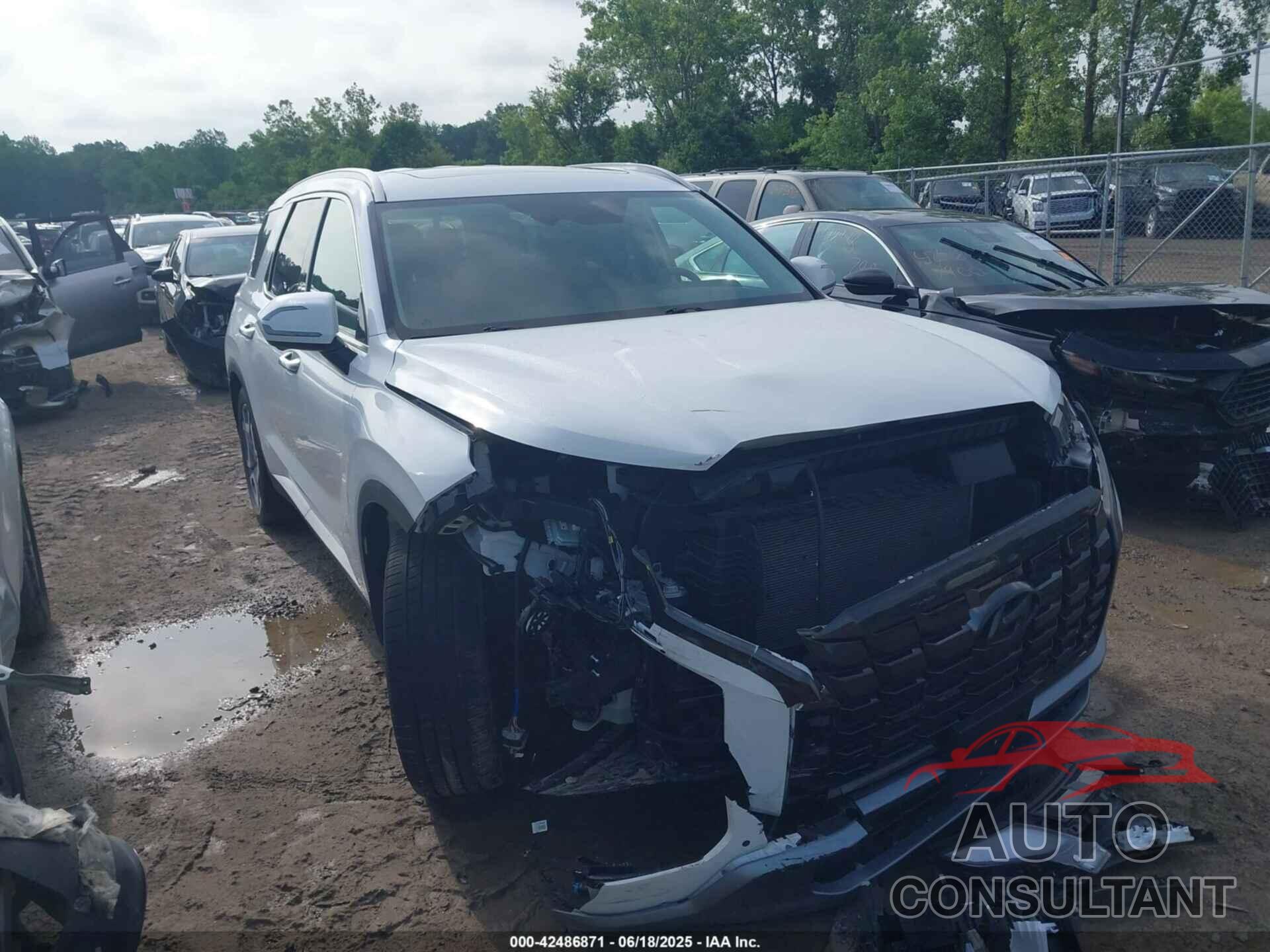 HYUNDAI PALISADE 2023 - KM8R4DGEXPU536750