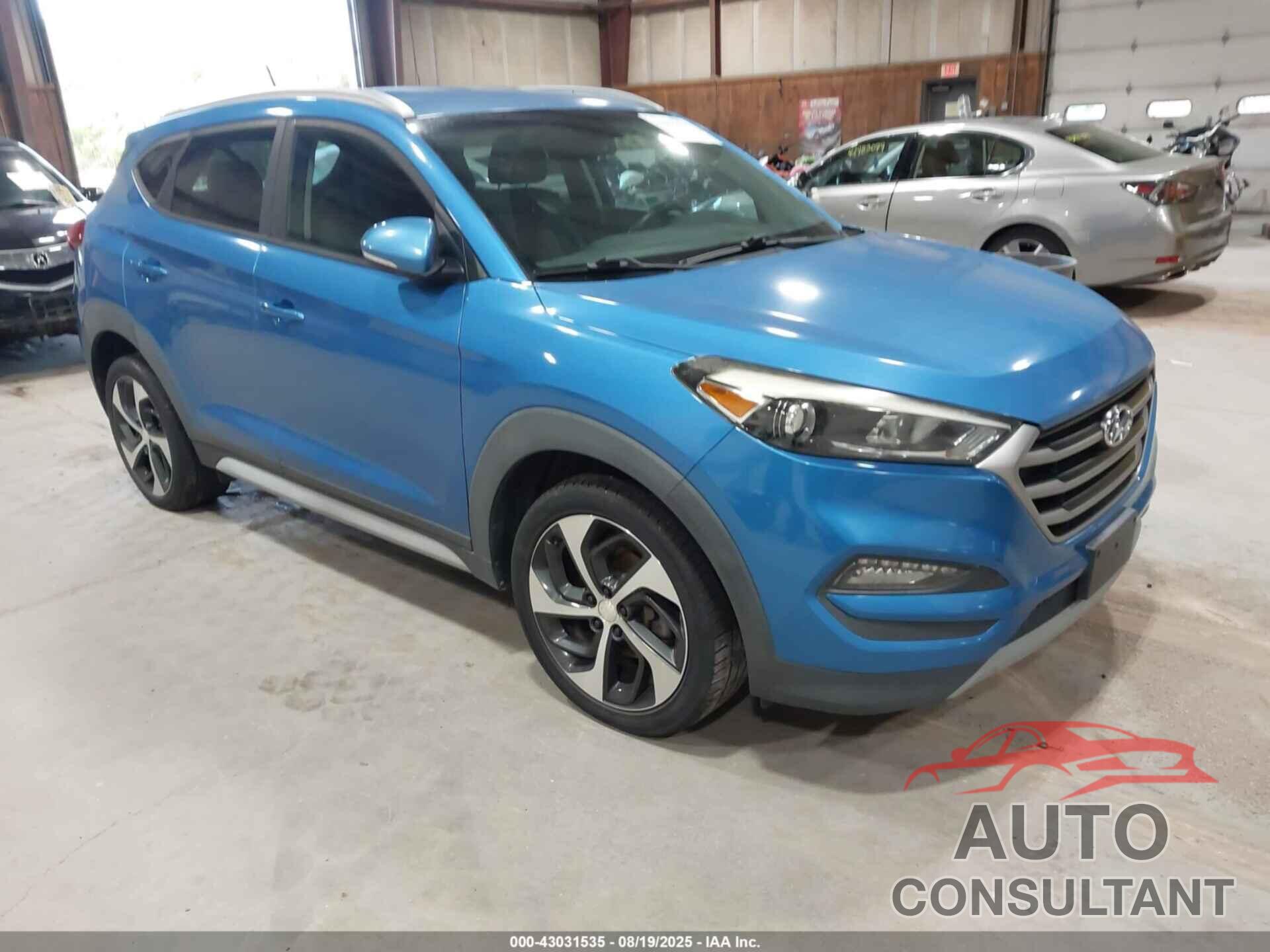 HYUNDAI TUCSON 2017 - KM8J3CA26HU536481