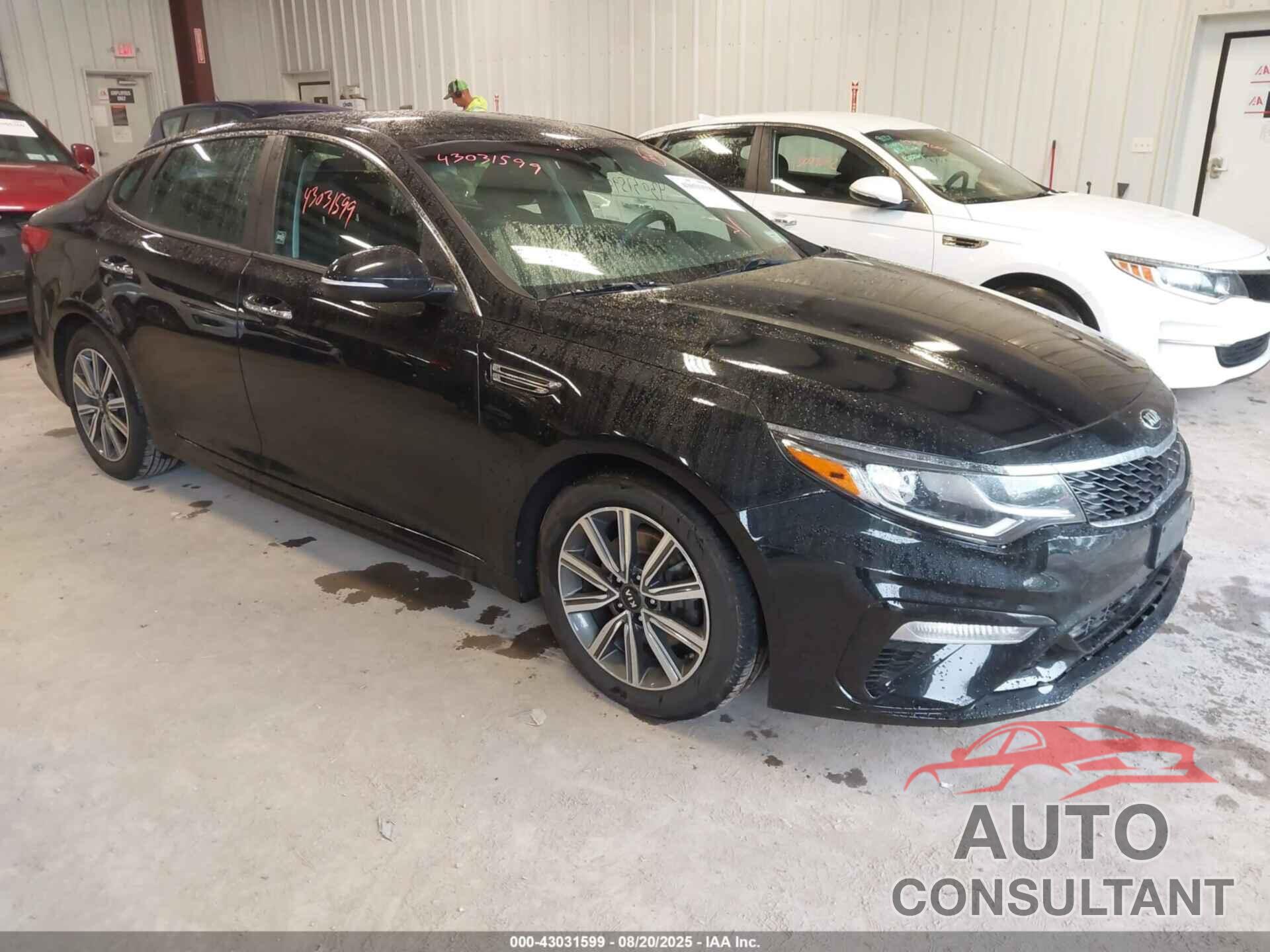 KIA OPTIMA 2019 - 5XXGT4L38KG379804