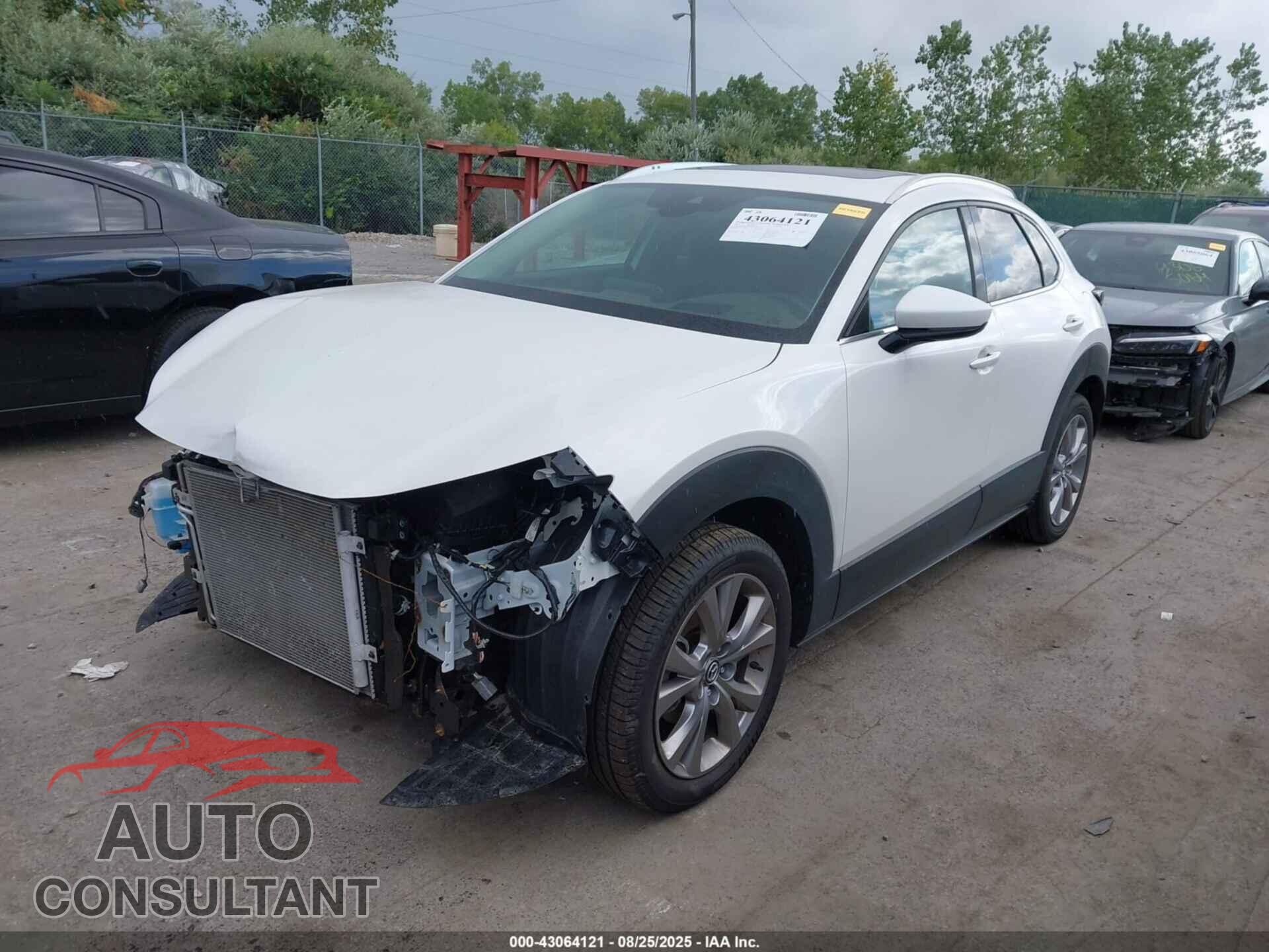 MAZDA CX-30 2021 - 3MVDMBDL7MM203362